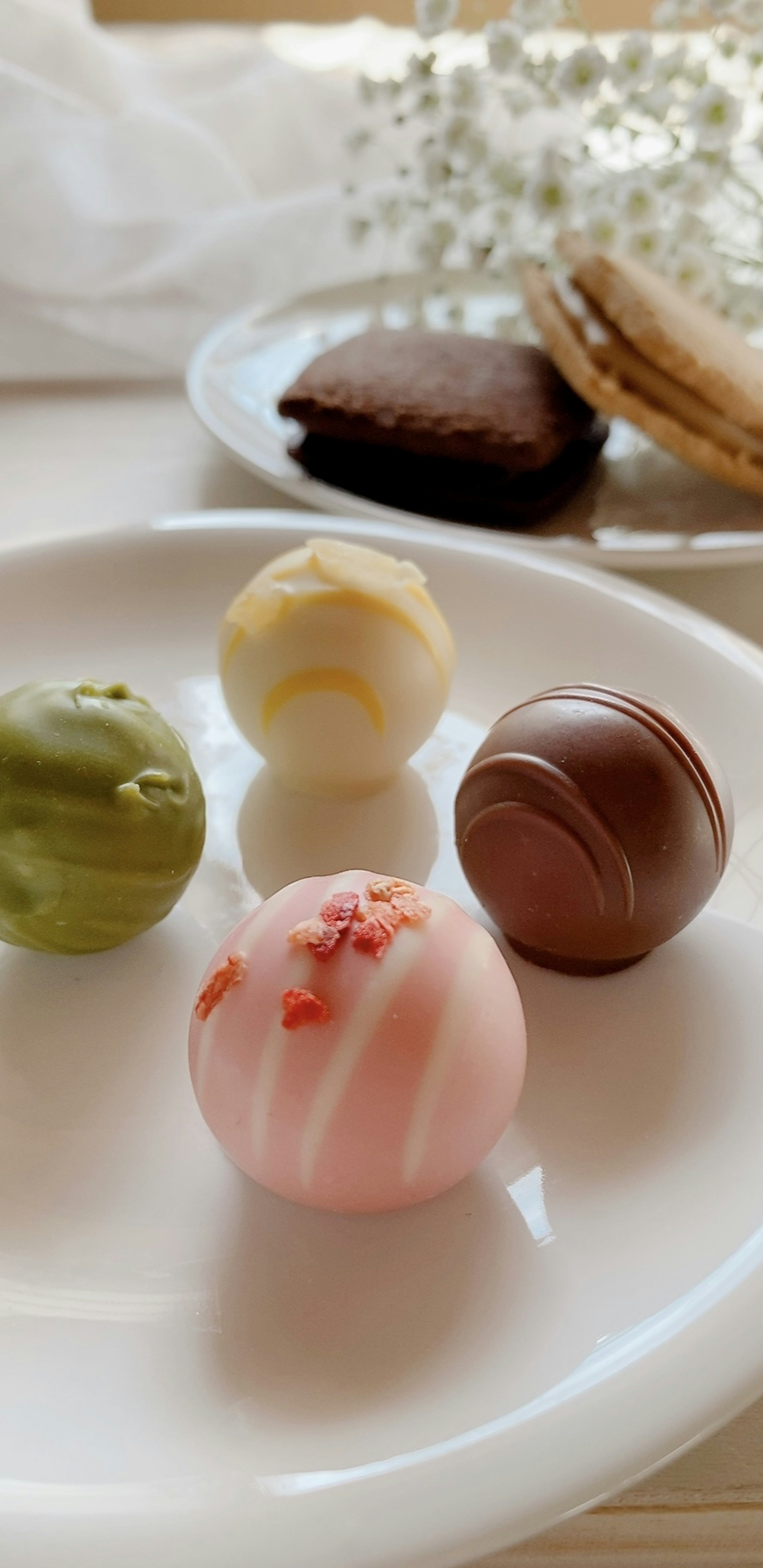 Chocolats truffés colorés disposés sur une assiette blanche