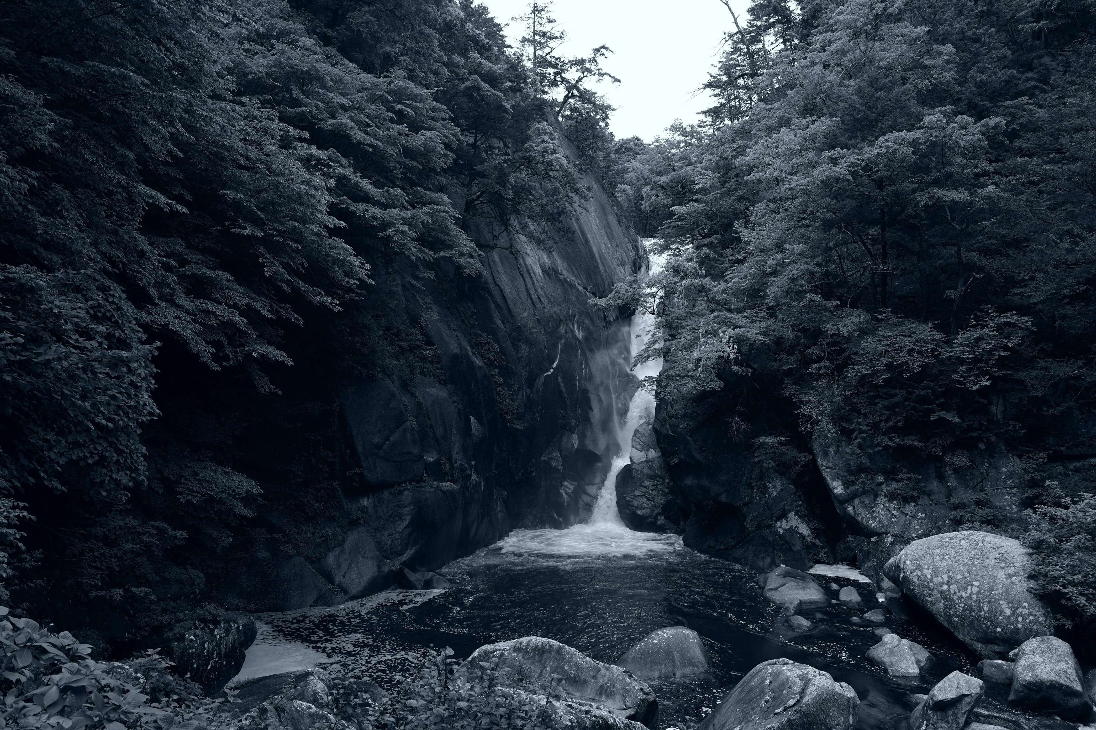 Chute d'eau en noir et blanc coulant dans une forêt entourée de grandes roches et d'arbres verts