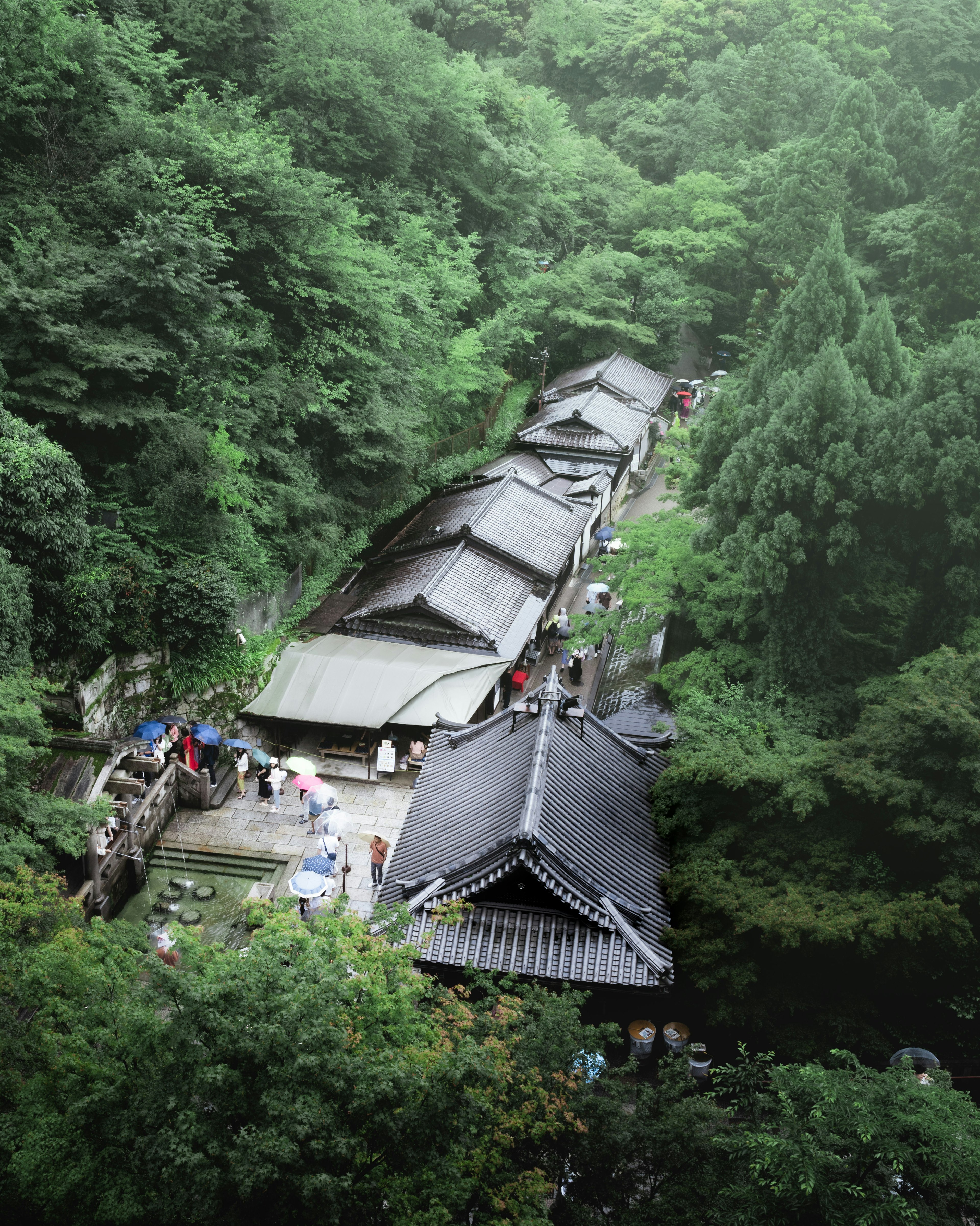 Traditionelle Gebäude umgeben von üppigem Grün in Japan