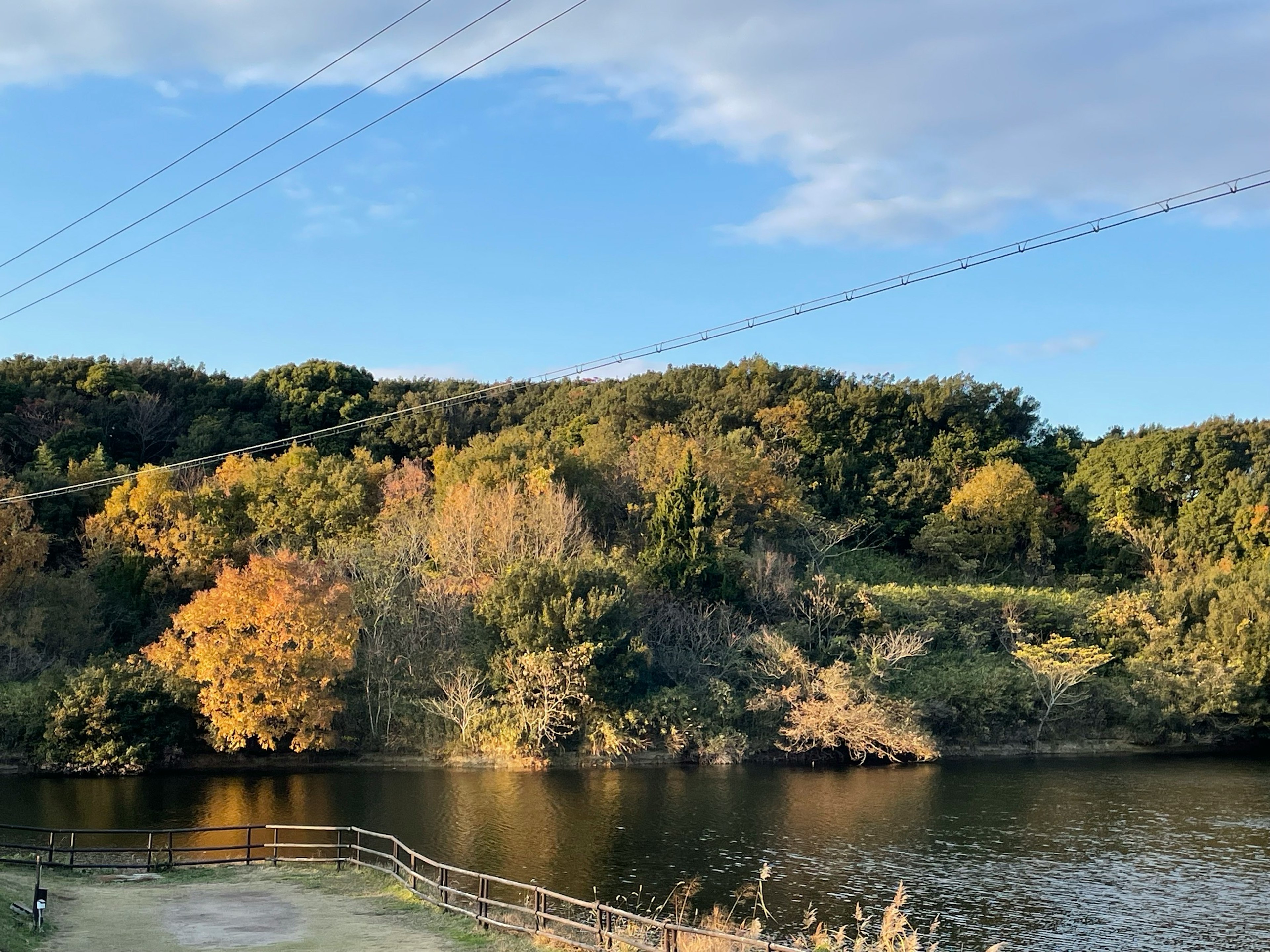 Serene lake view with autumn foliage and clear blue sky