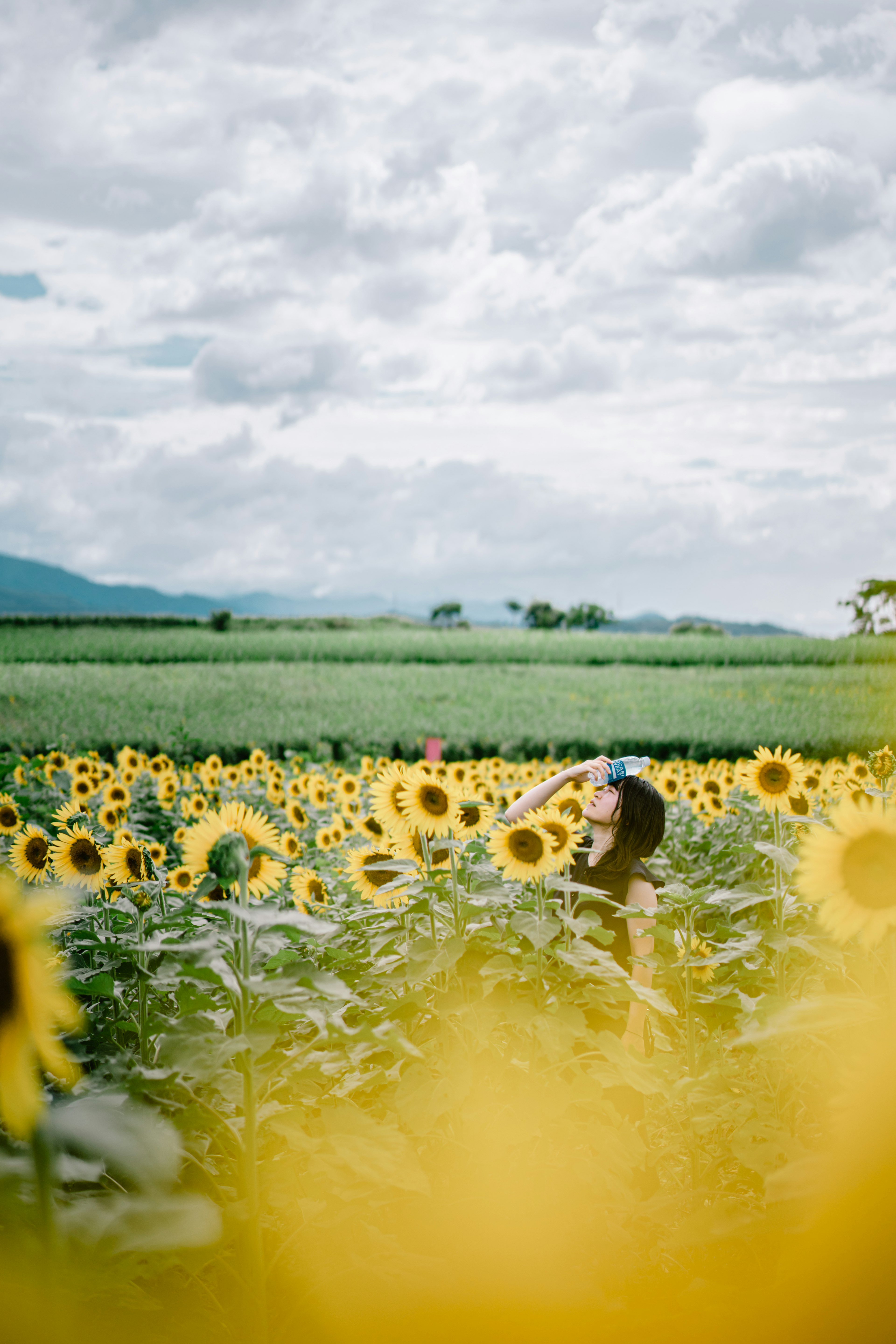 Eine lächelnde Frau, die Sonnenblumen in einem Sonnenblumenfeld betrachtet