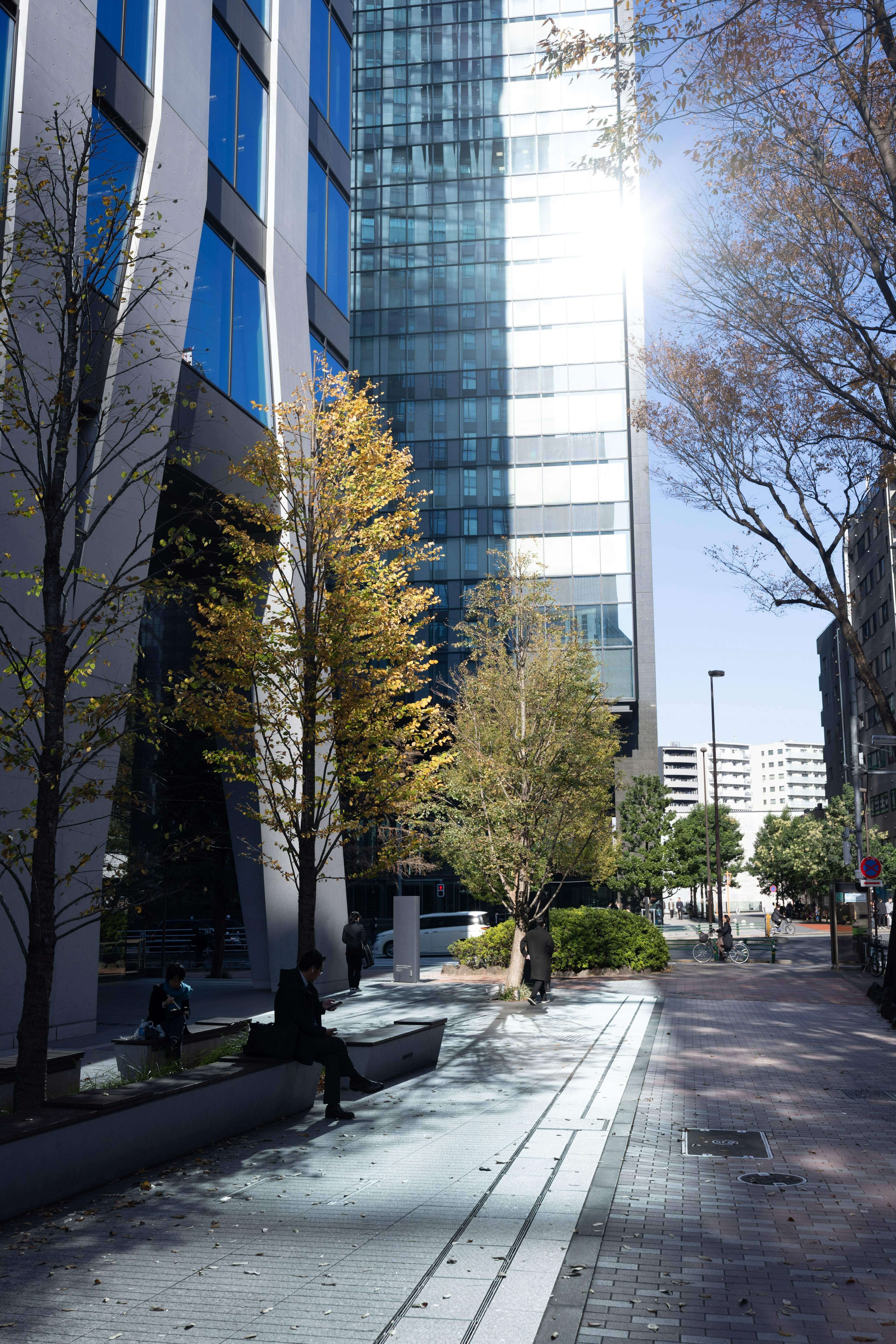 Una calle serena flanqueada por árboles y bancos entre altos edificios