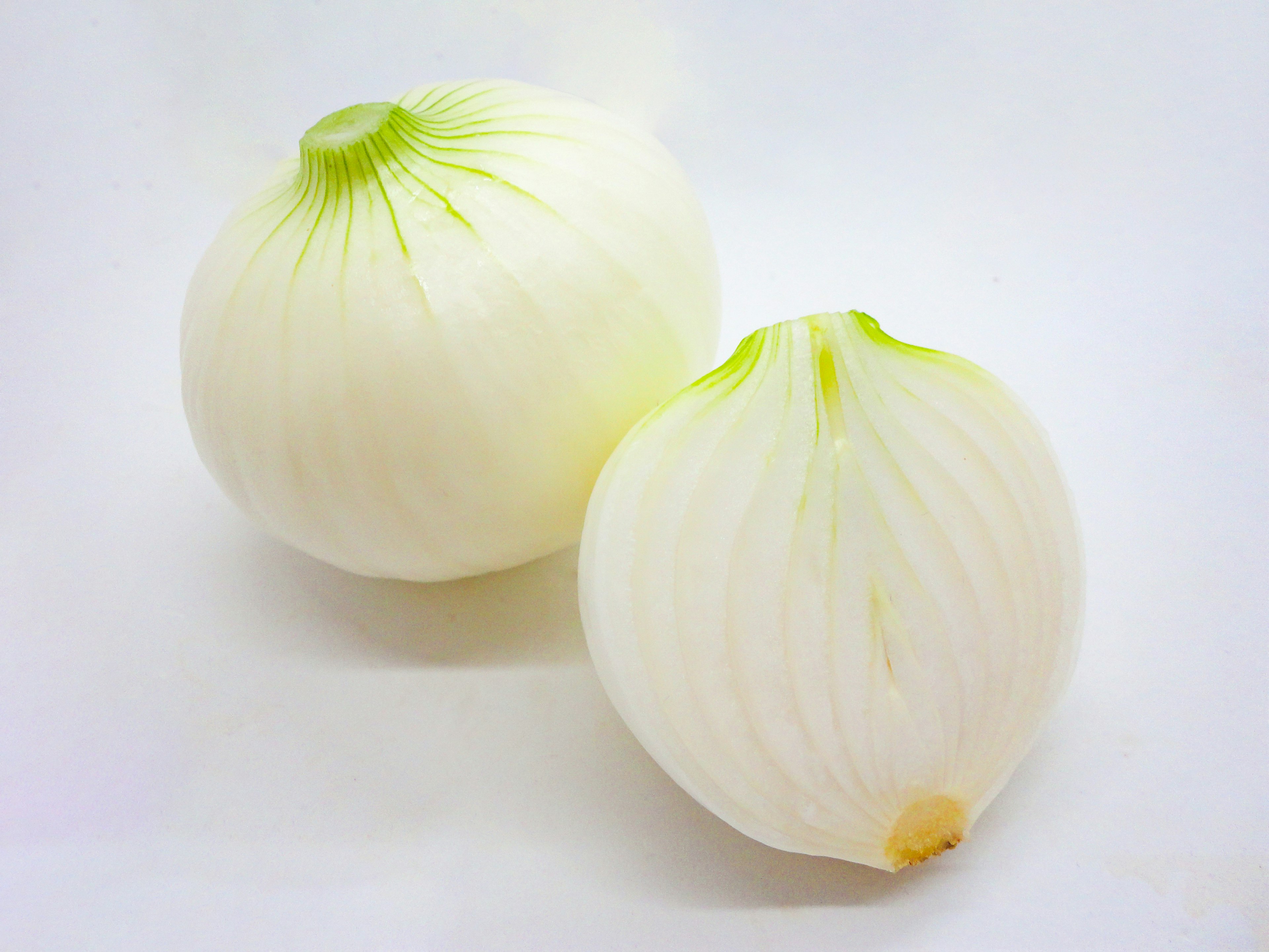 Dos cebollas blancas con puntas verdes sobre un fondo claro