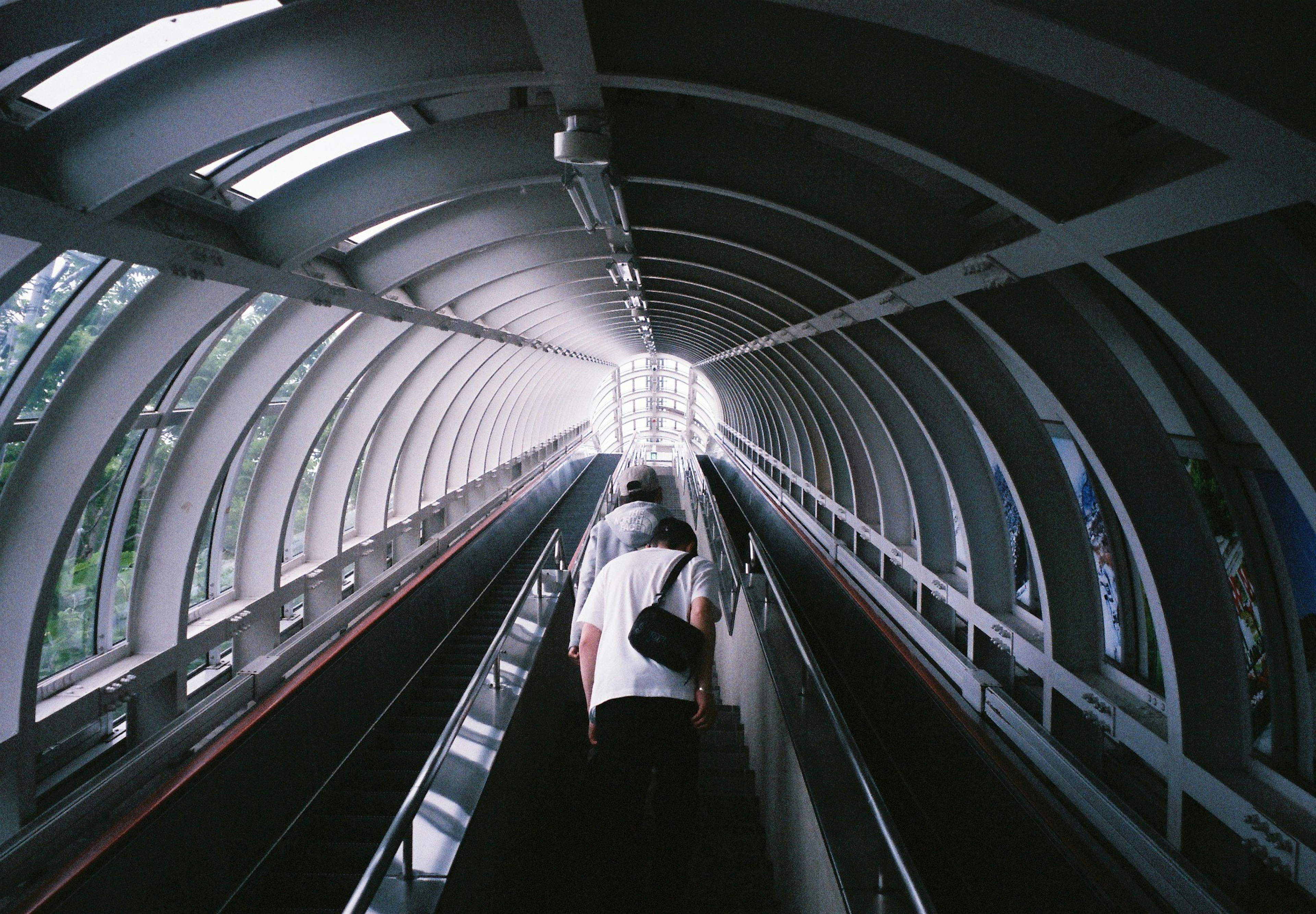 photo-Dp7O7ybLq8vwCh9lTltu-image
