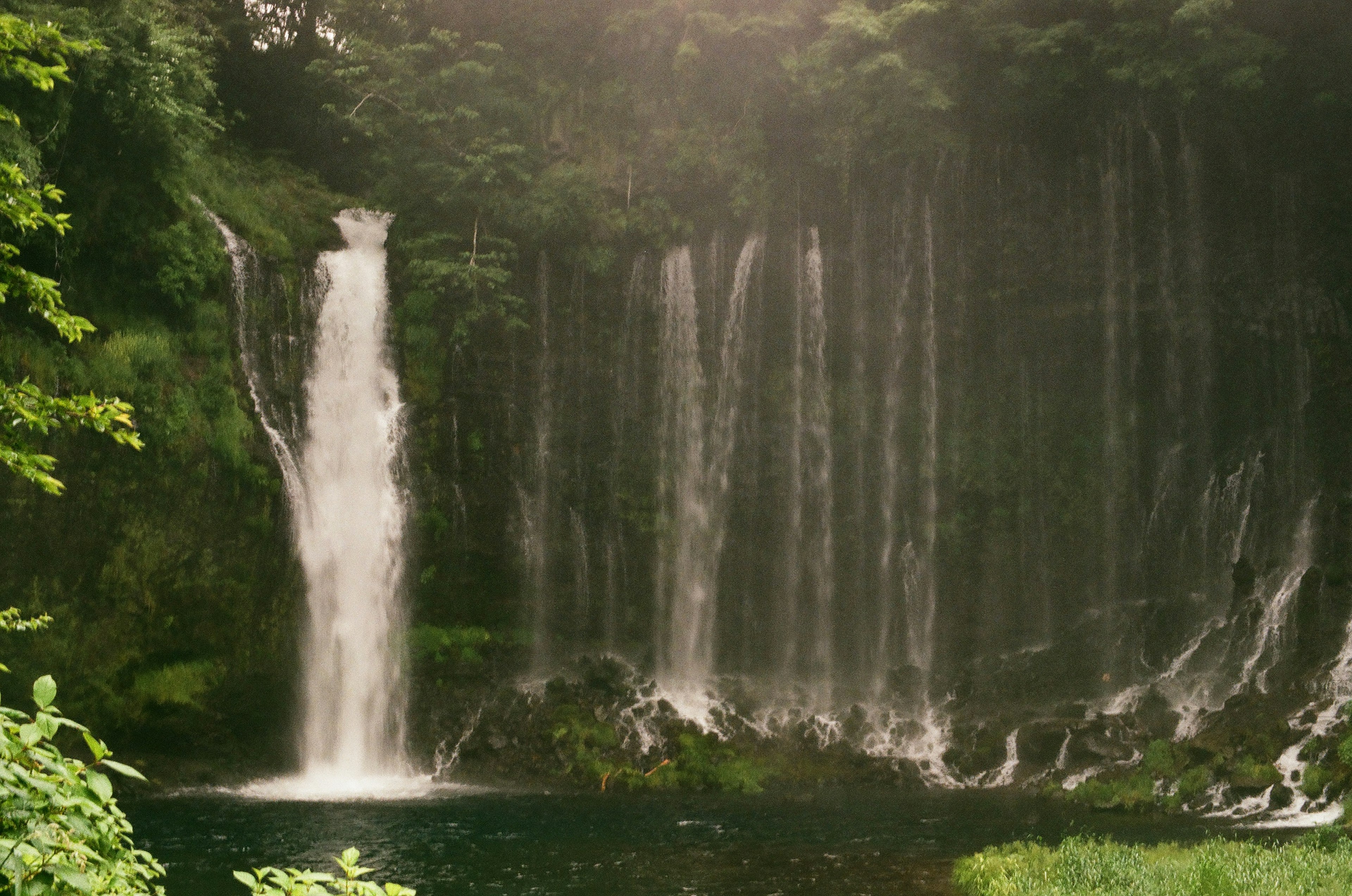 Vue pittoresque de chutes d'eau dans une forêt verdoyante