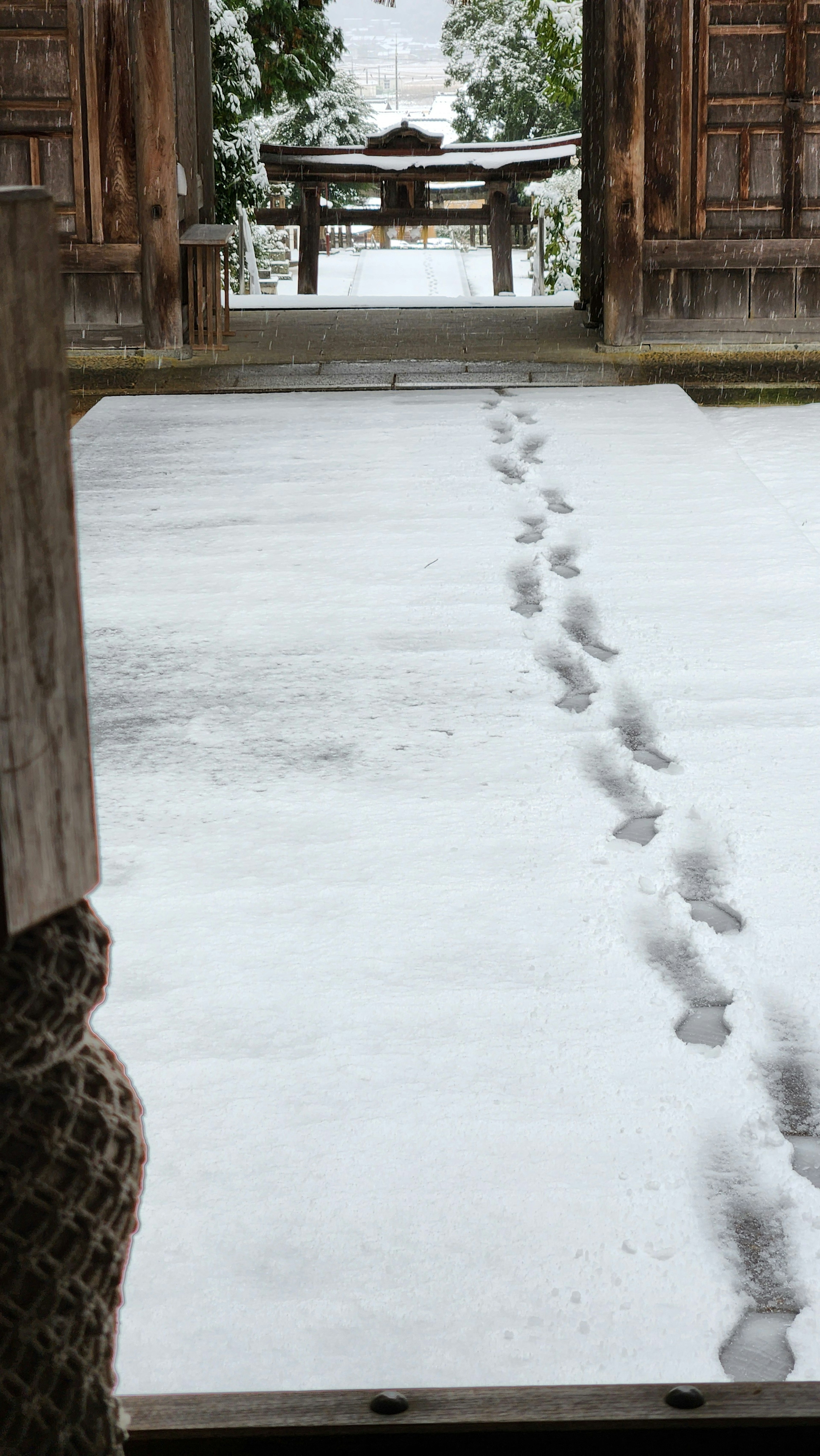 雪の上に残された足跡が見える古い門からの景色