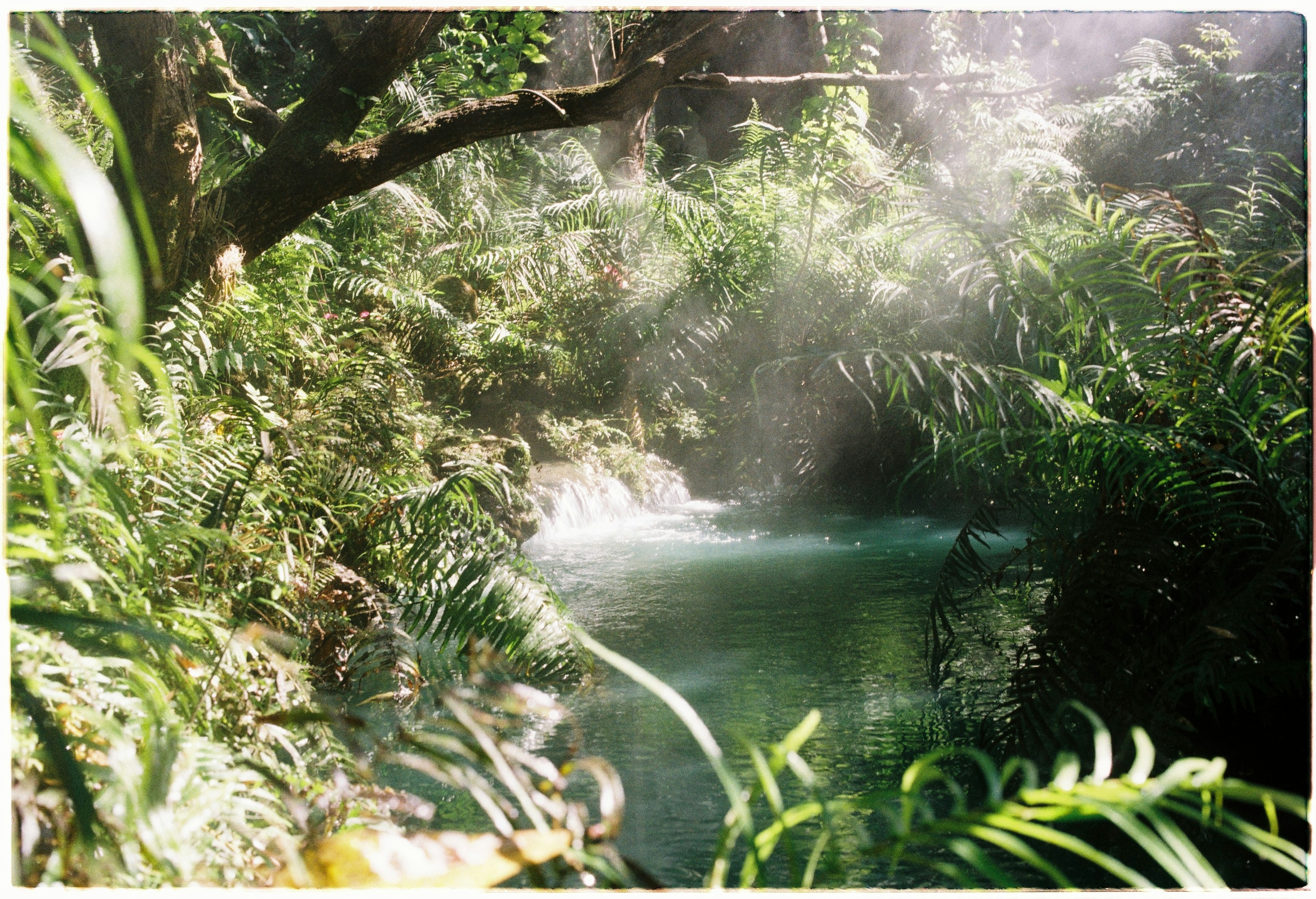 Serene river scene in a lush jungle with mist creating a mystical atmosphere