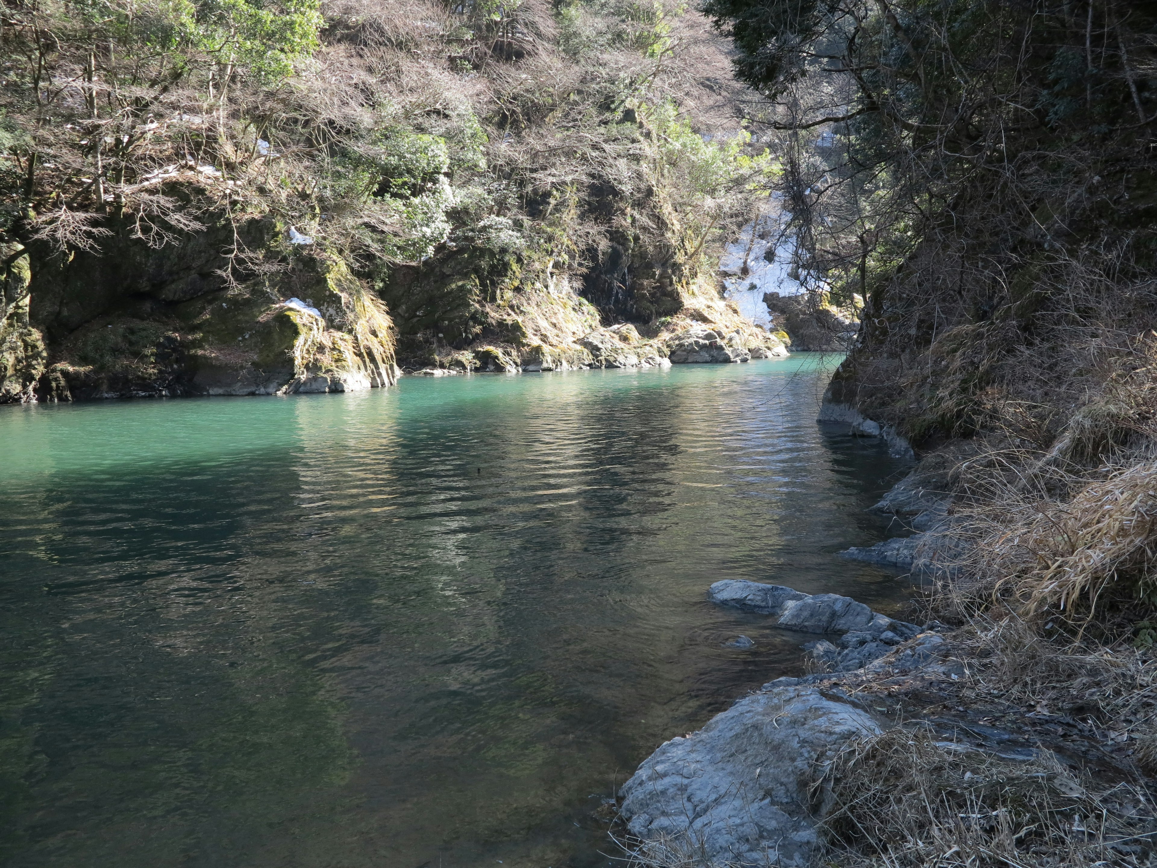 清澈的水流淌在被绿色树木和岩石岸边环绕的河流中