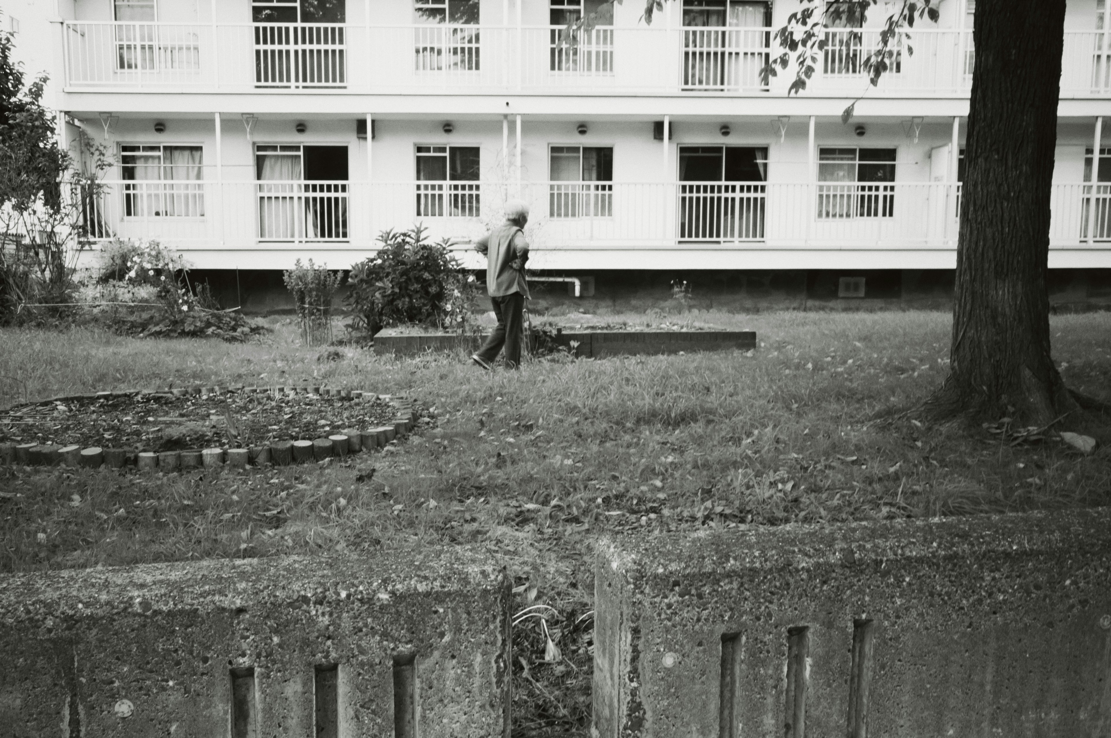 Photo en noir et blanc montrant une personne marchant dans un jardin avec un bâtiment blanc en arrière-plan