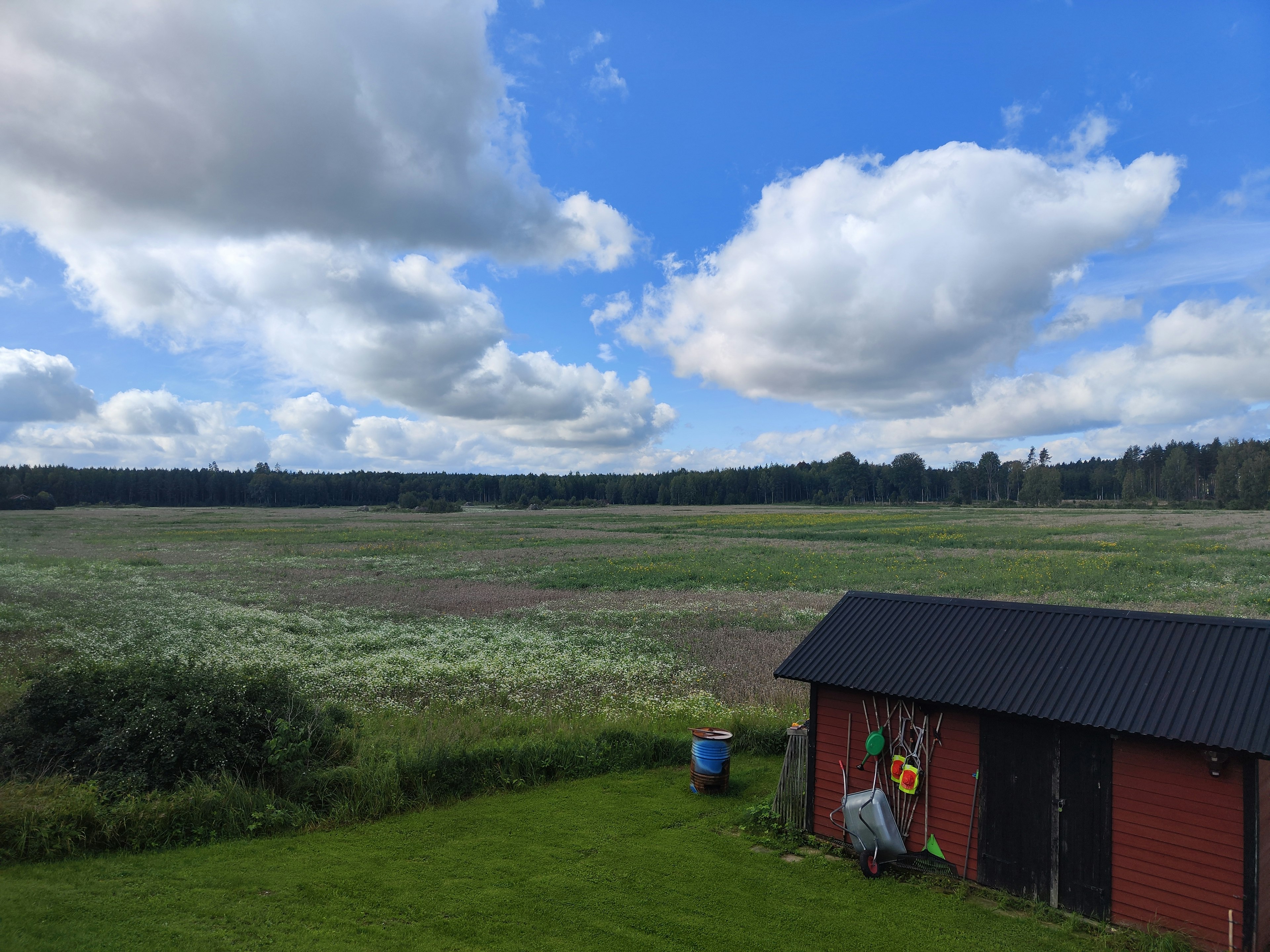 青空と白い雲が広がる草原と赤い小屋の風景