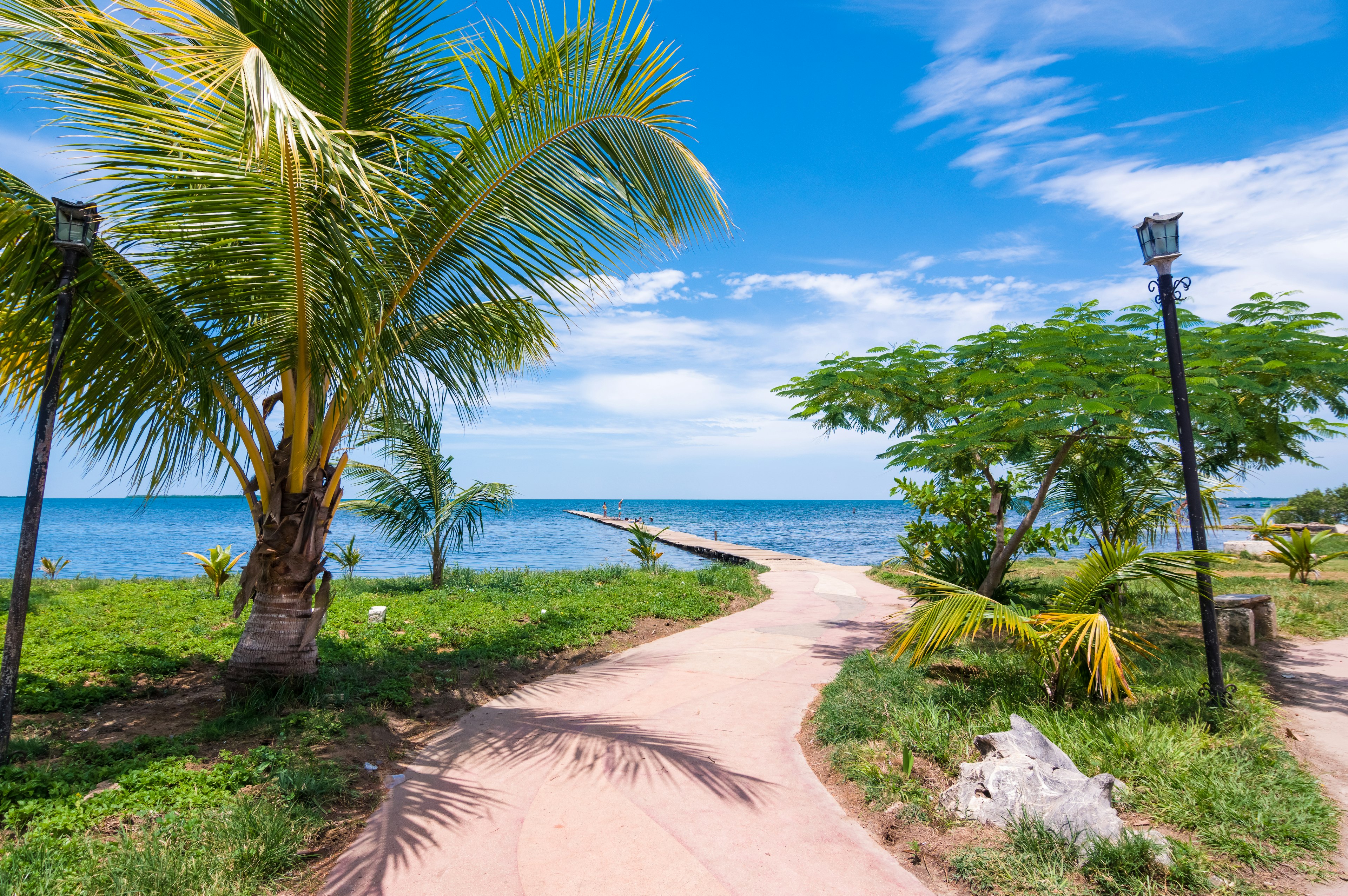 Vue de plage pittoresque avec océan bleu et ciel palmiers et plantes vertes