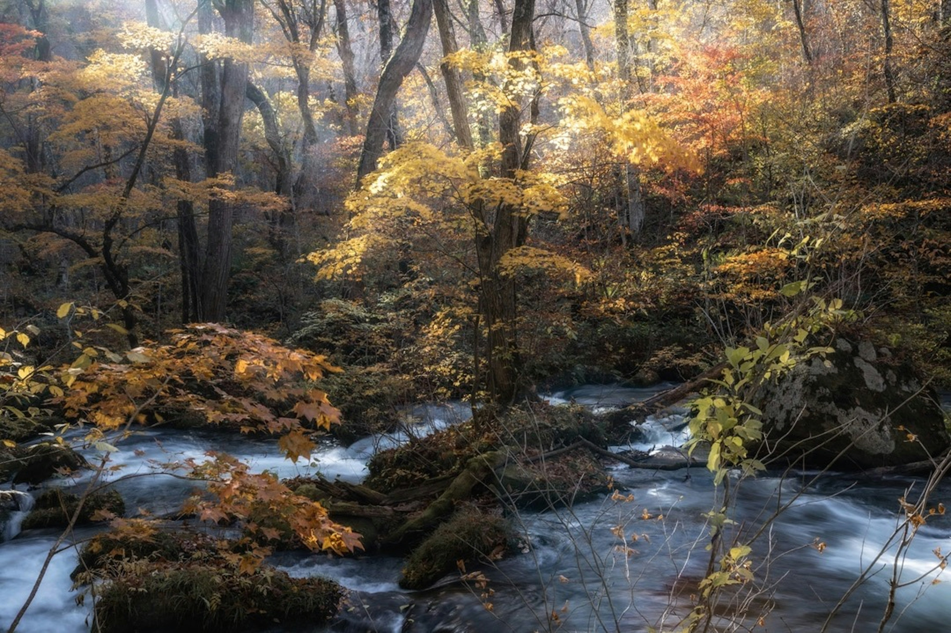 Ein ruhiger Bach, der durch einen herbstlichen Wald mit buntem Laub fließt