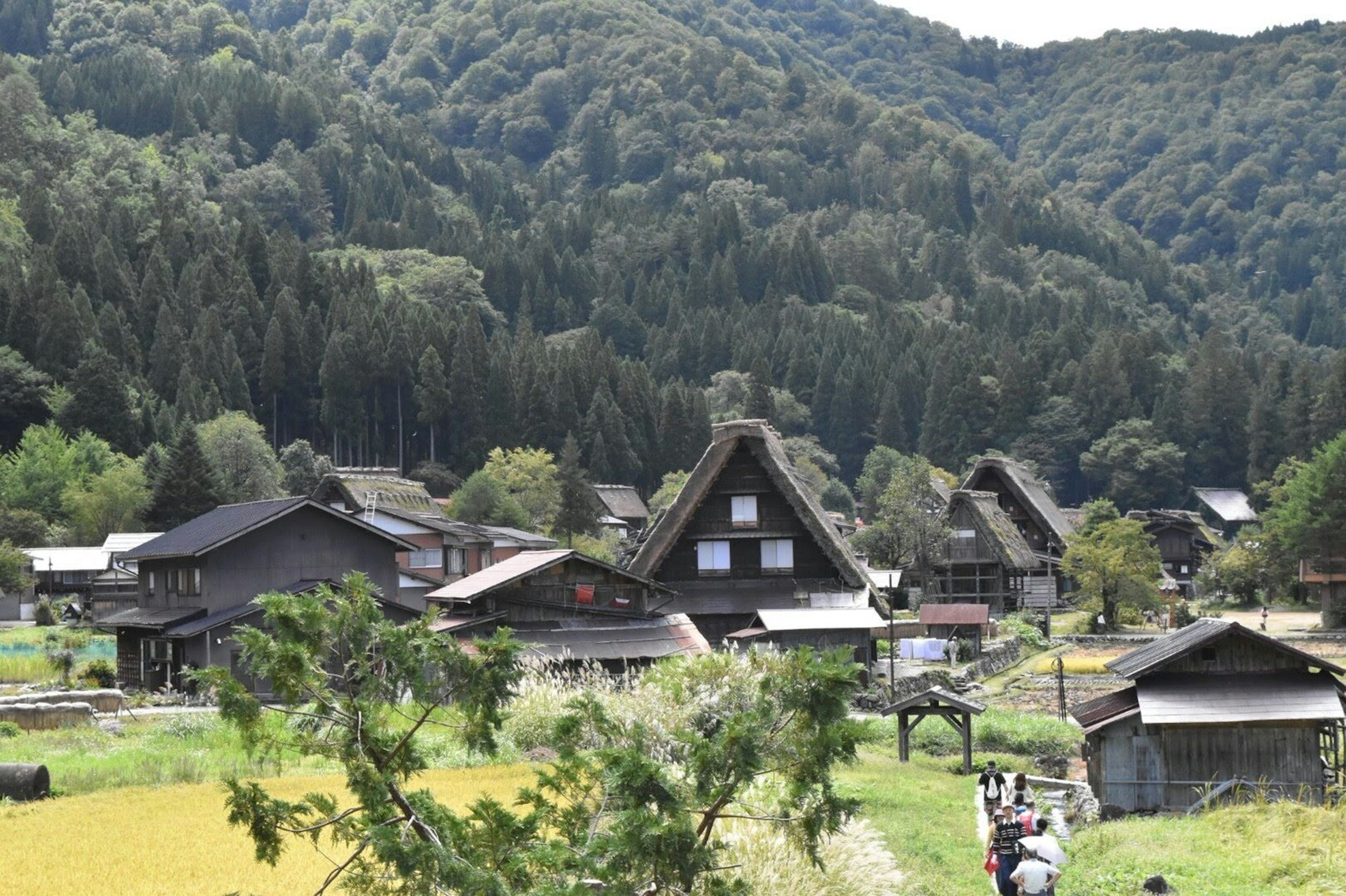 Pemandangan rumah tradisional Gassho-zukuri di desa pegunungan