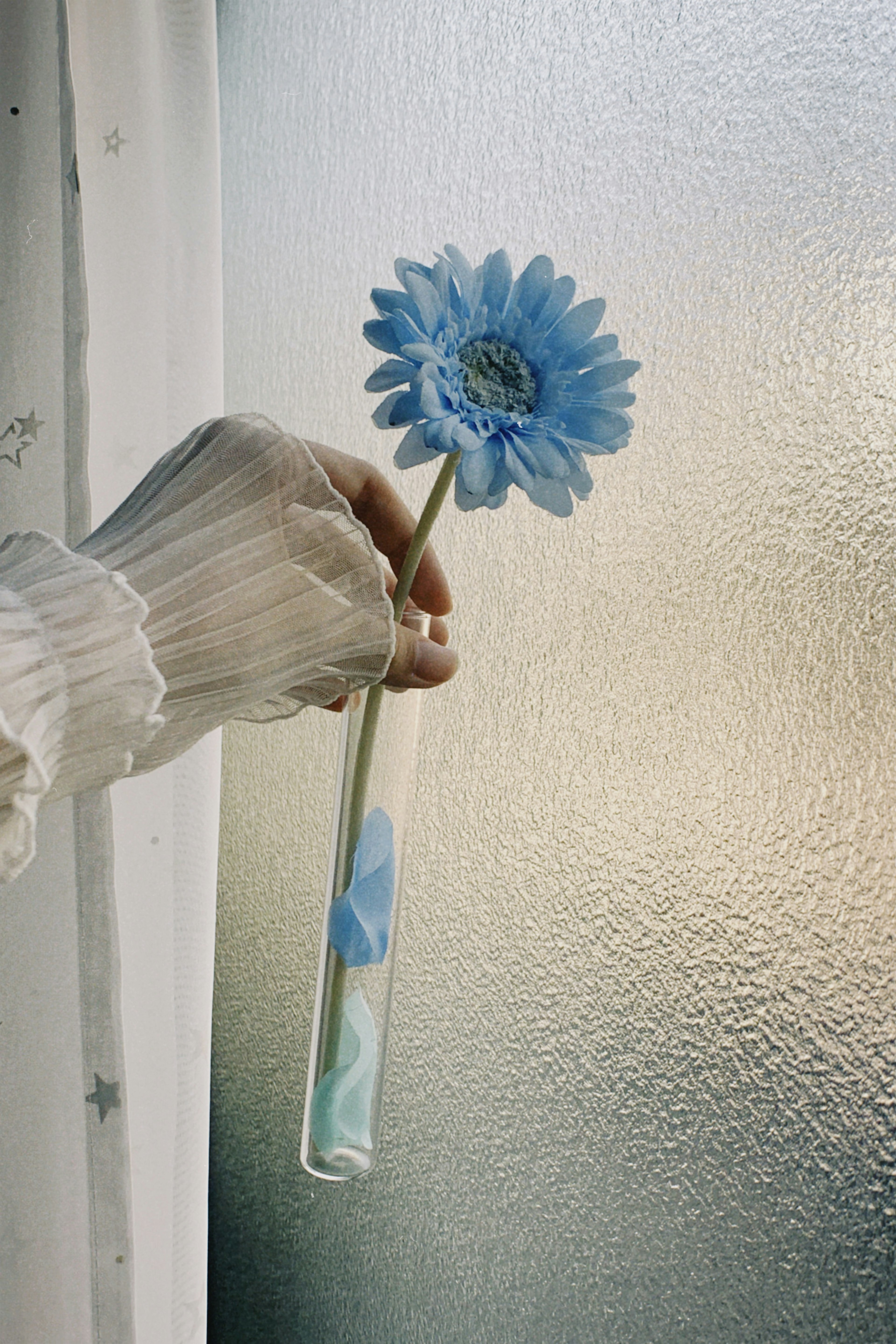 Mano sosteniendo una flor azul en un tubo de ensayo contra un fondo de luz suave