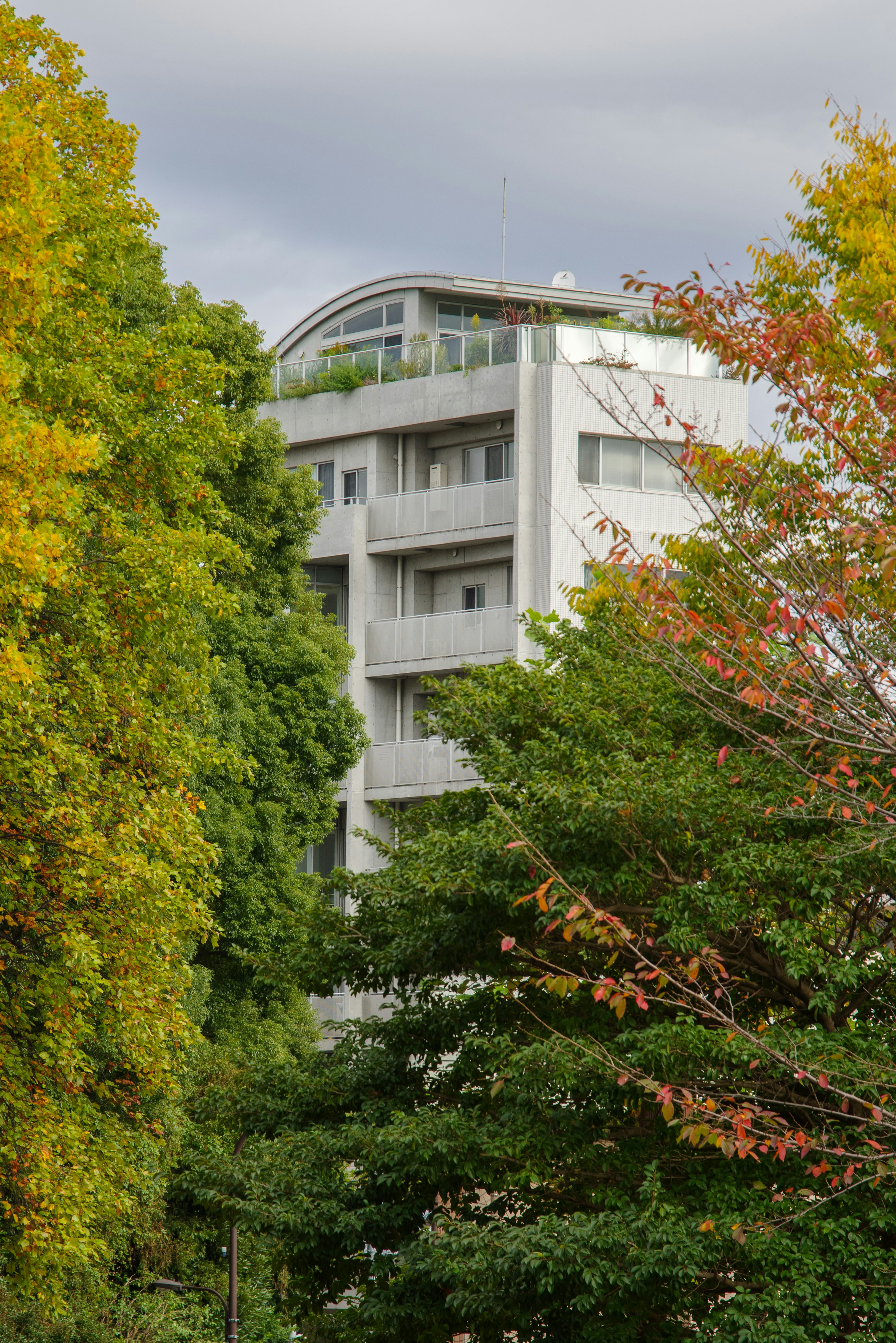 秋の木々に囲まれた現代的な建物