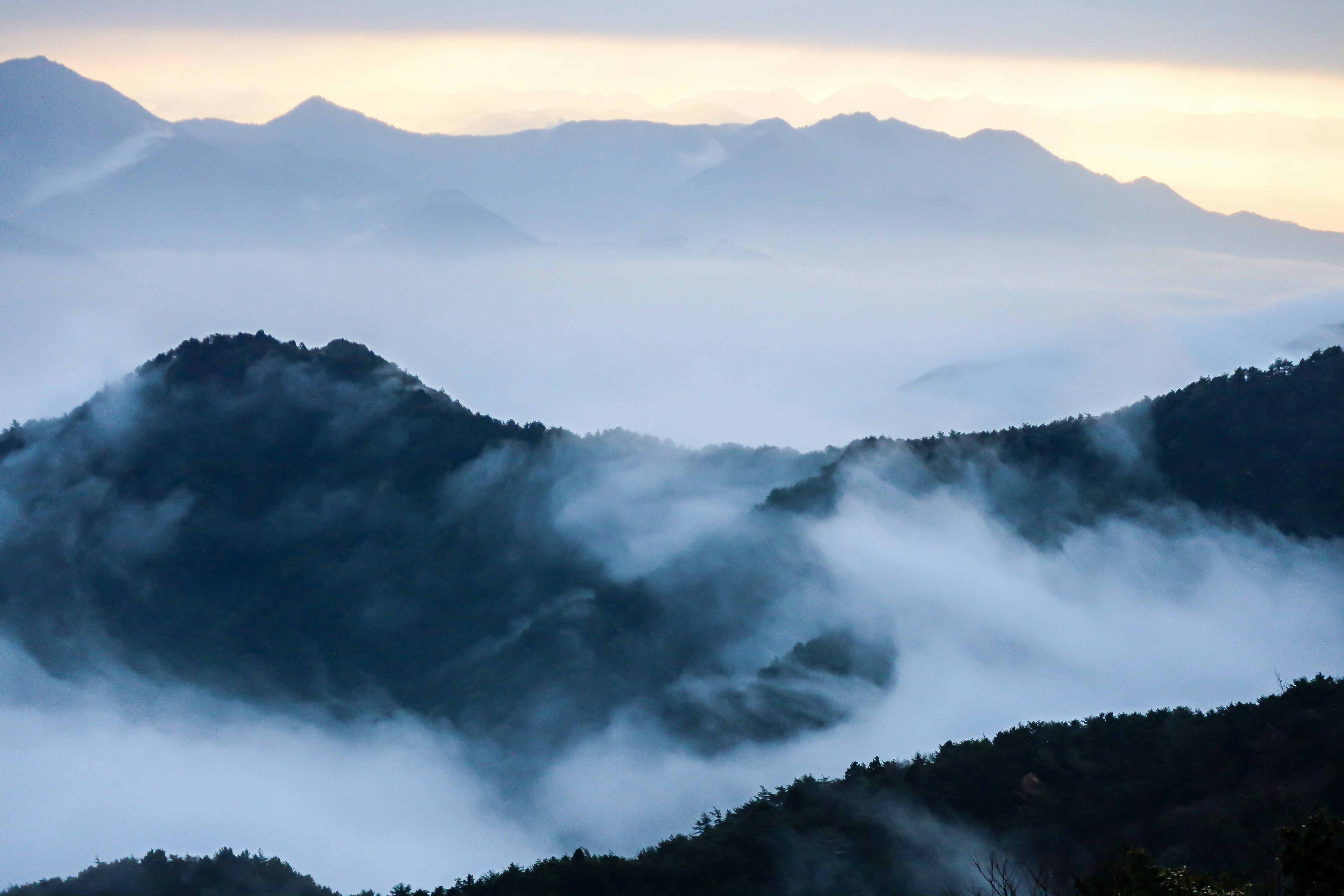 Hermoso paisaje de montañas cubiertas de niebla