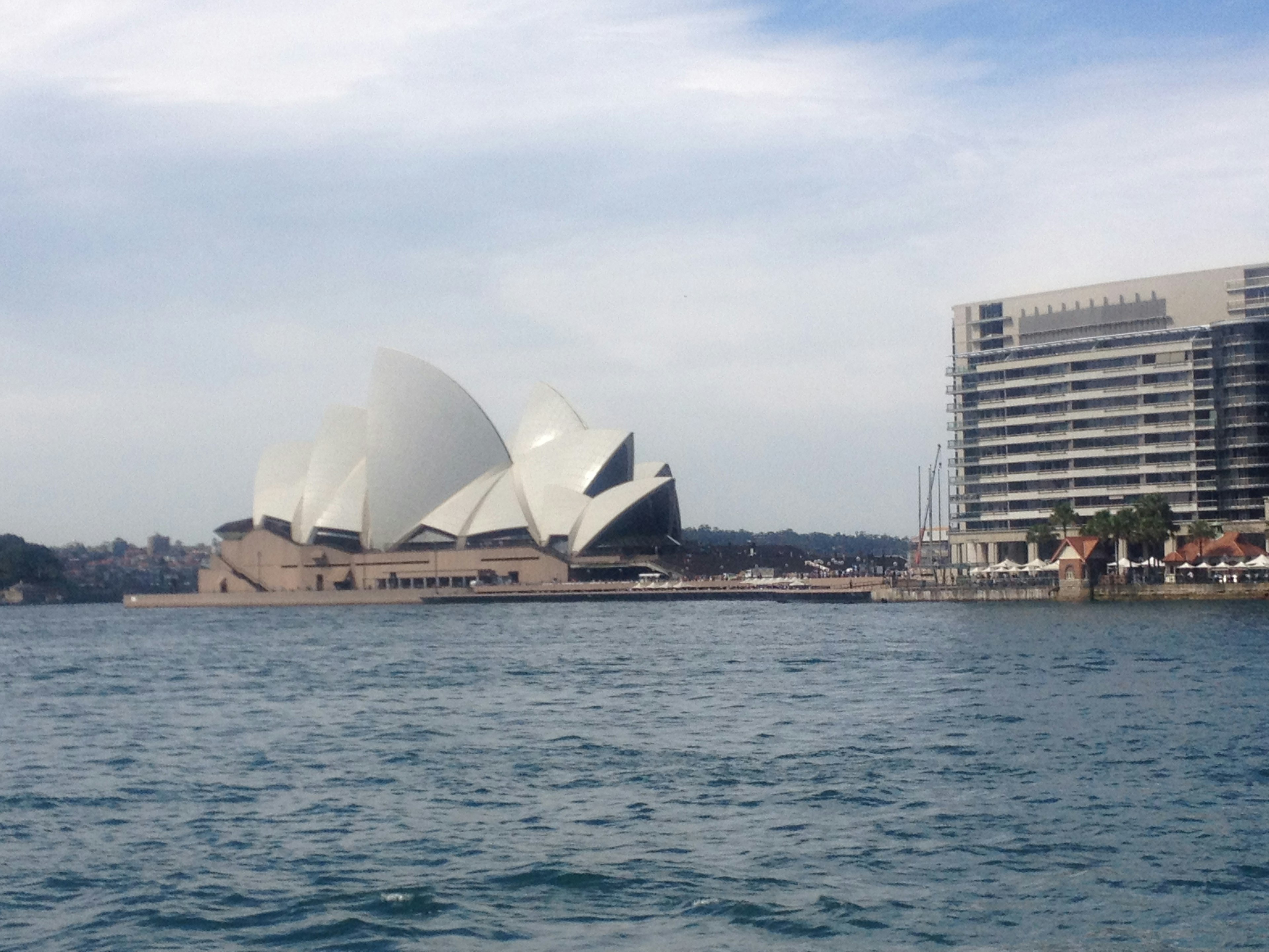 Sydney Opera House con edifici moderni lungo la riva