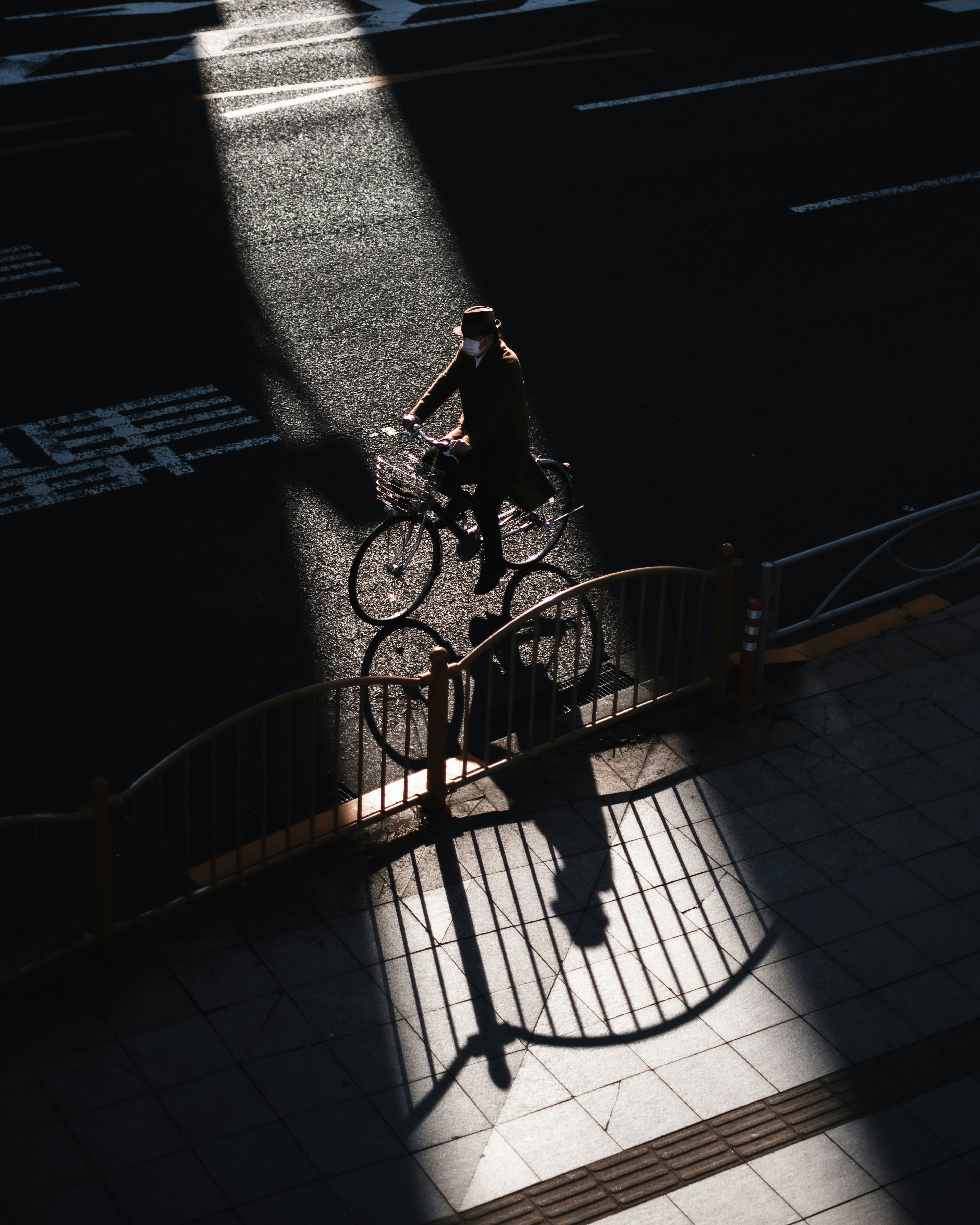 Un cycliste traverse une rue ombragée avec de forts contrastes de lumière