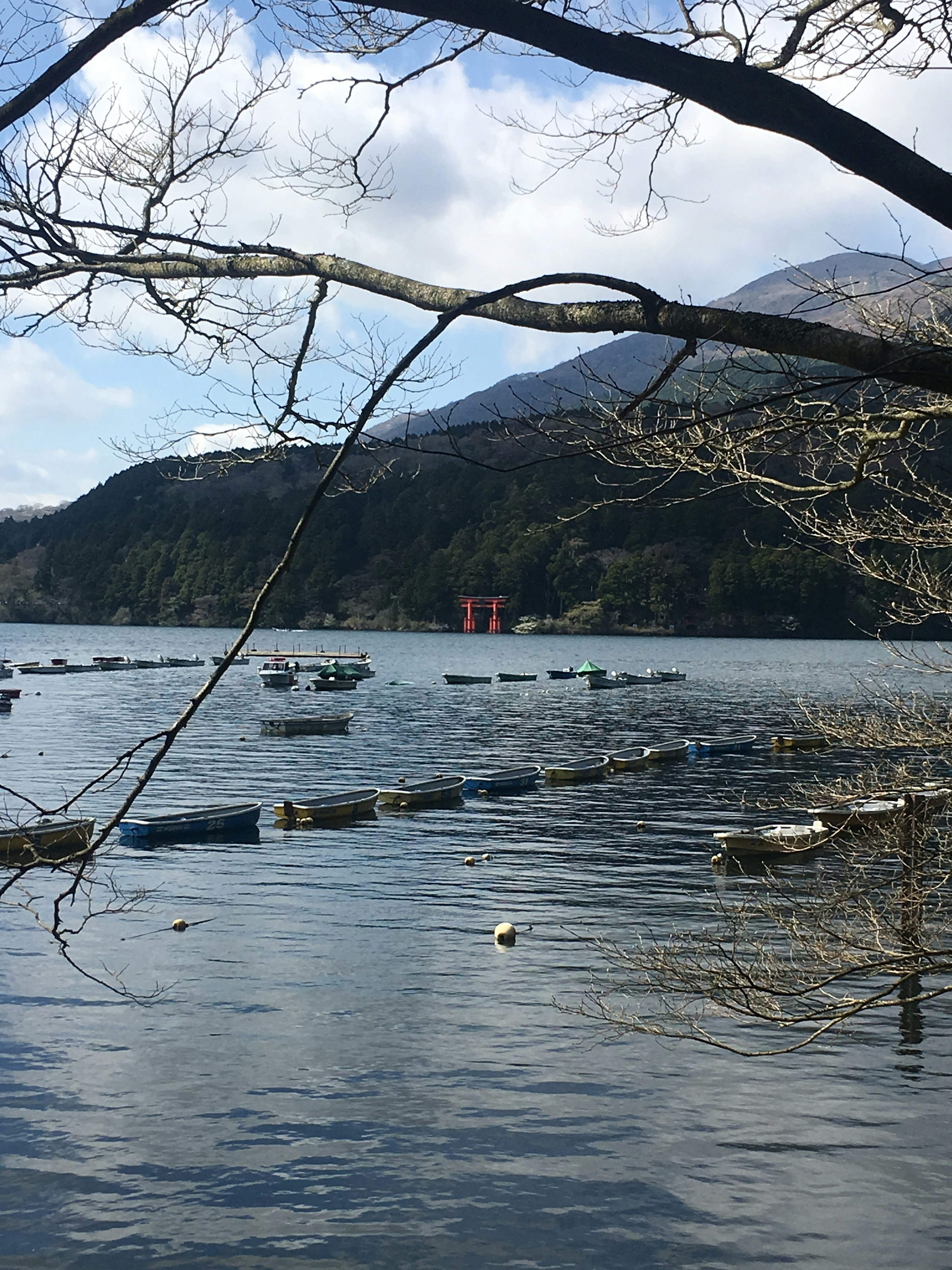 Vue pittoresque d'un lac avec des bateaux et un torii rouge