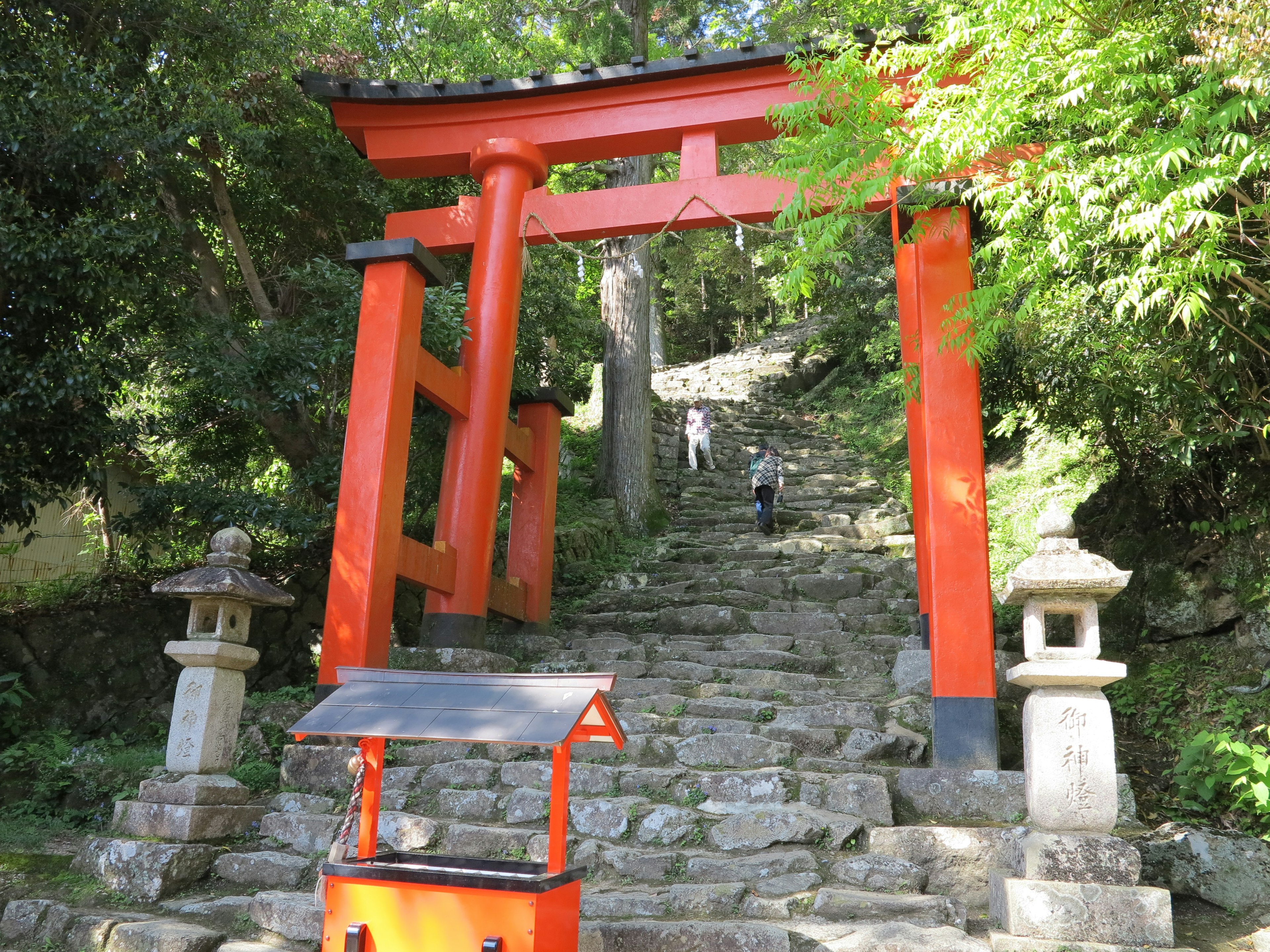 Red torii gate and stone staircase surrounded by green trees at a shrine