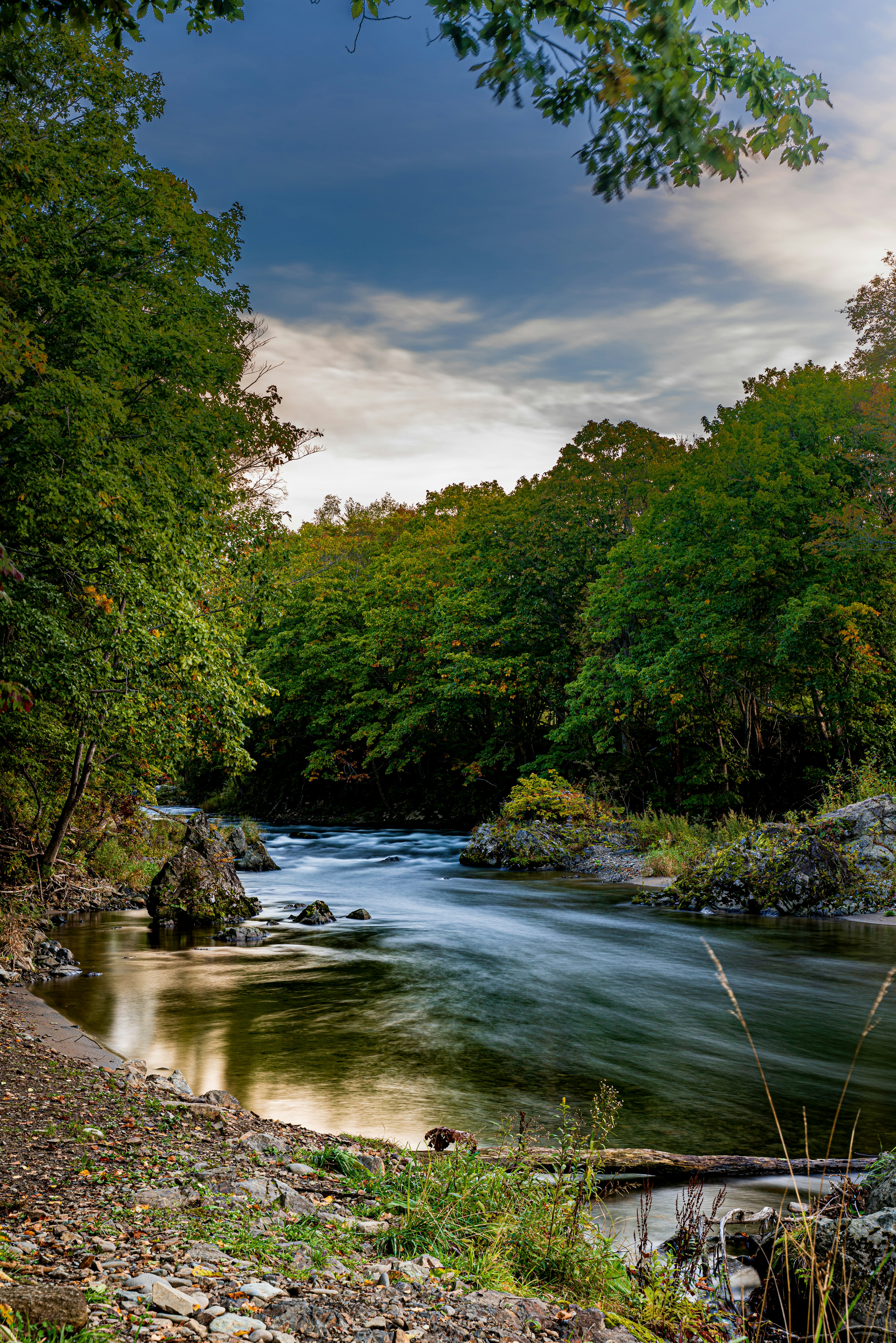 Serene Flusslandschaft umgeben von üppigen grünen Bäumen