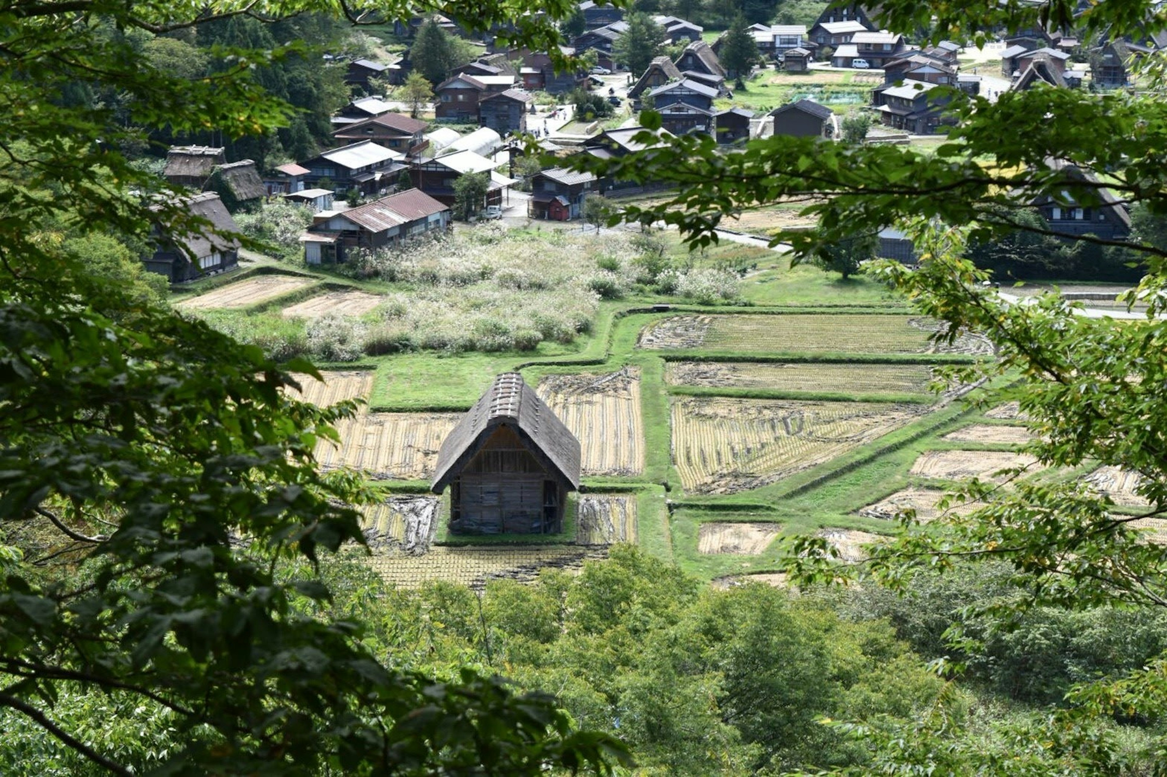 A scenic view of a mountain village with rice fields