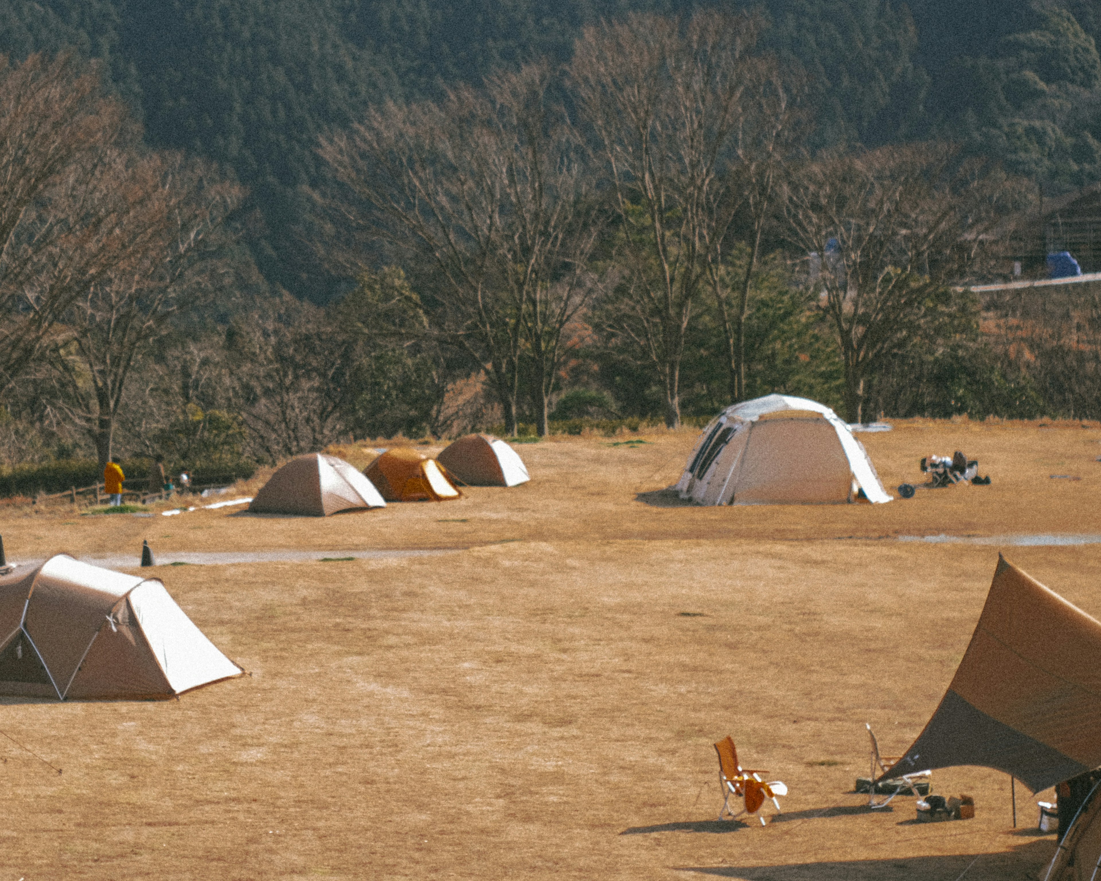 Camping spacieux avec un groupe de tentes et un paysage naturel environnant