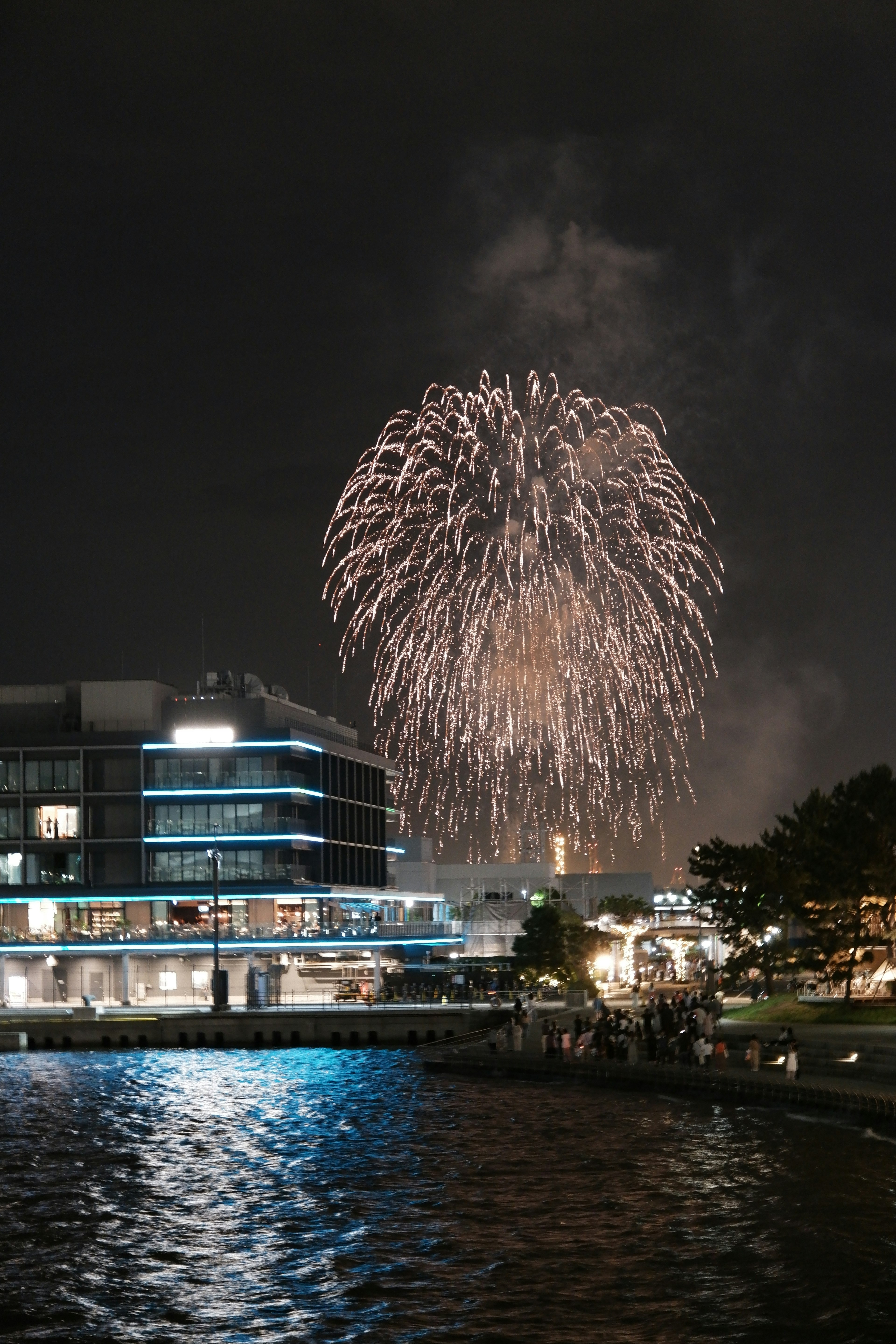 Espectáculo de fuegos artificiales en el cielo nocturno con reflejos en el agua y un edificio moderno en primer plano