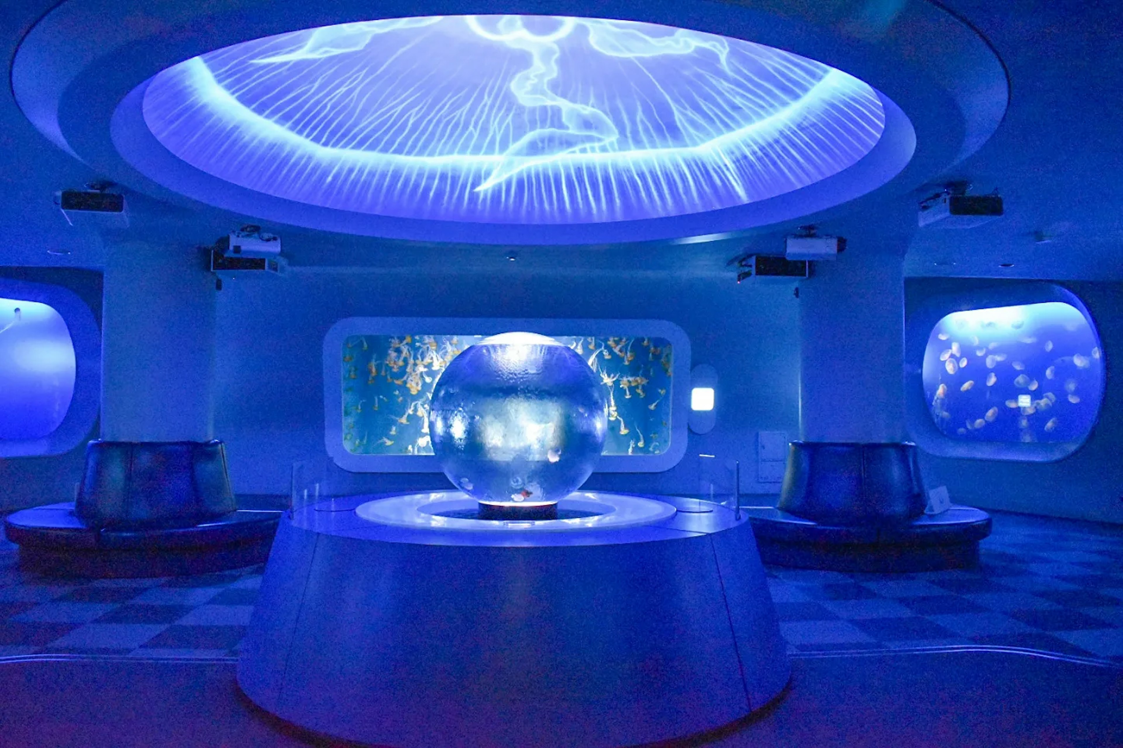 Interior de acuario con iluminación azul que presenta un tanque esférico y grandes ventanas