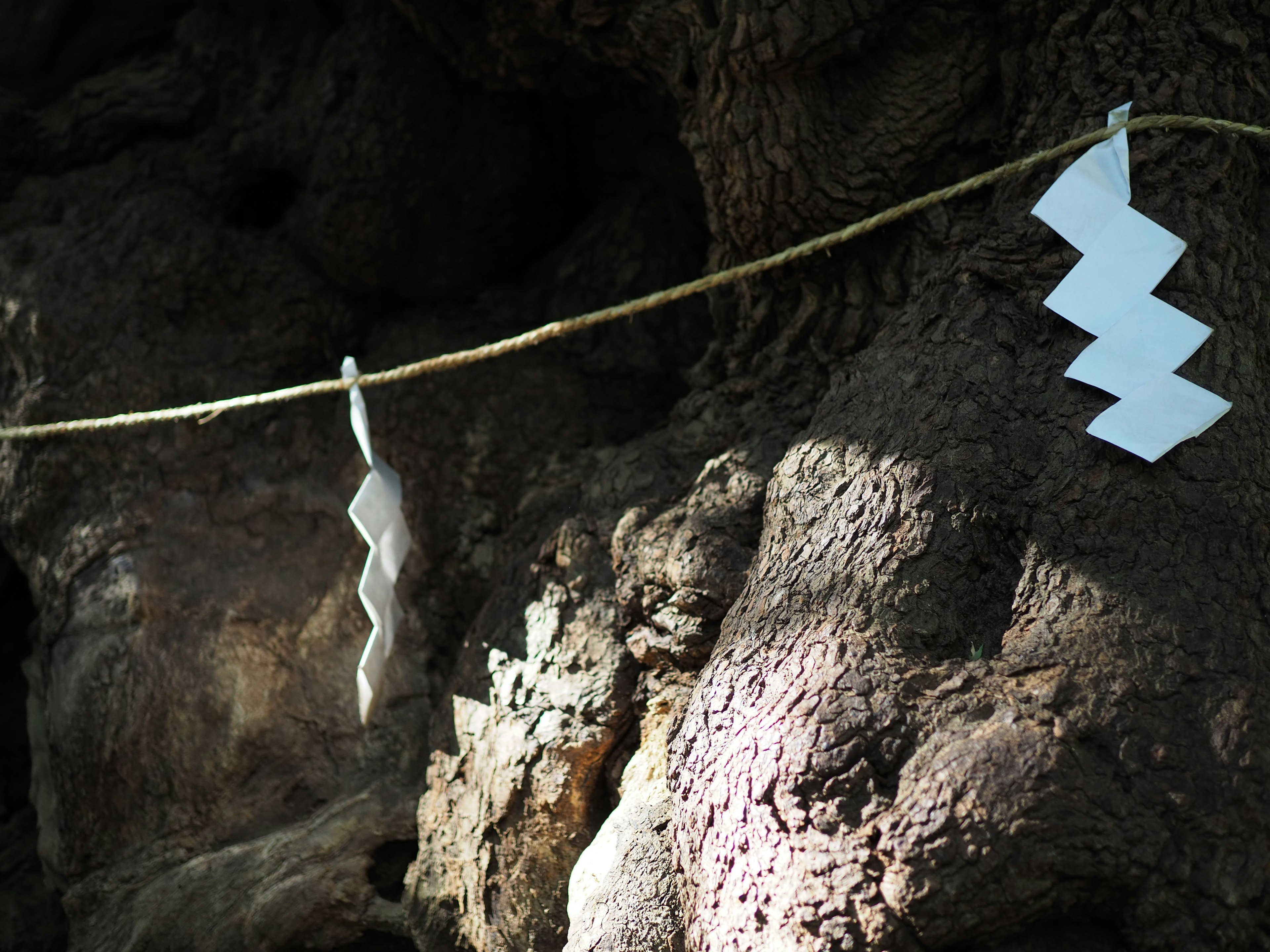 White paper decorations hanging from a rope in a cave with textured rock background