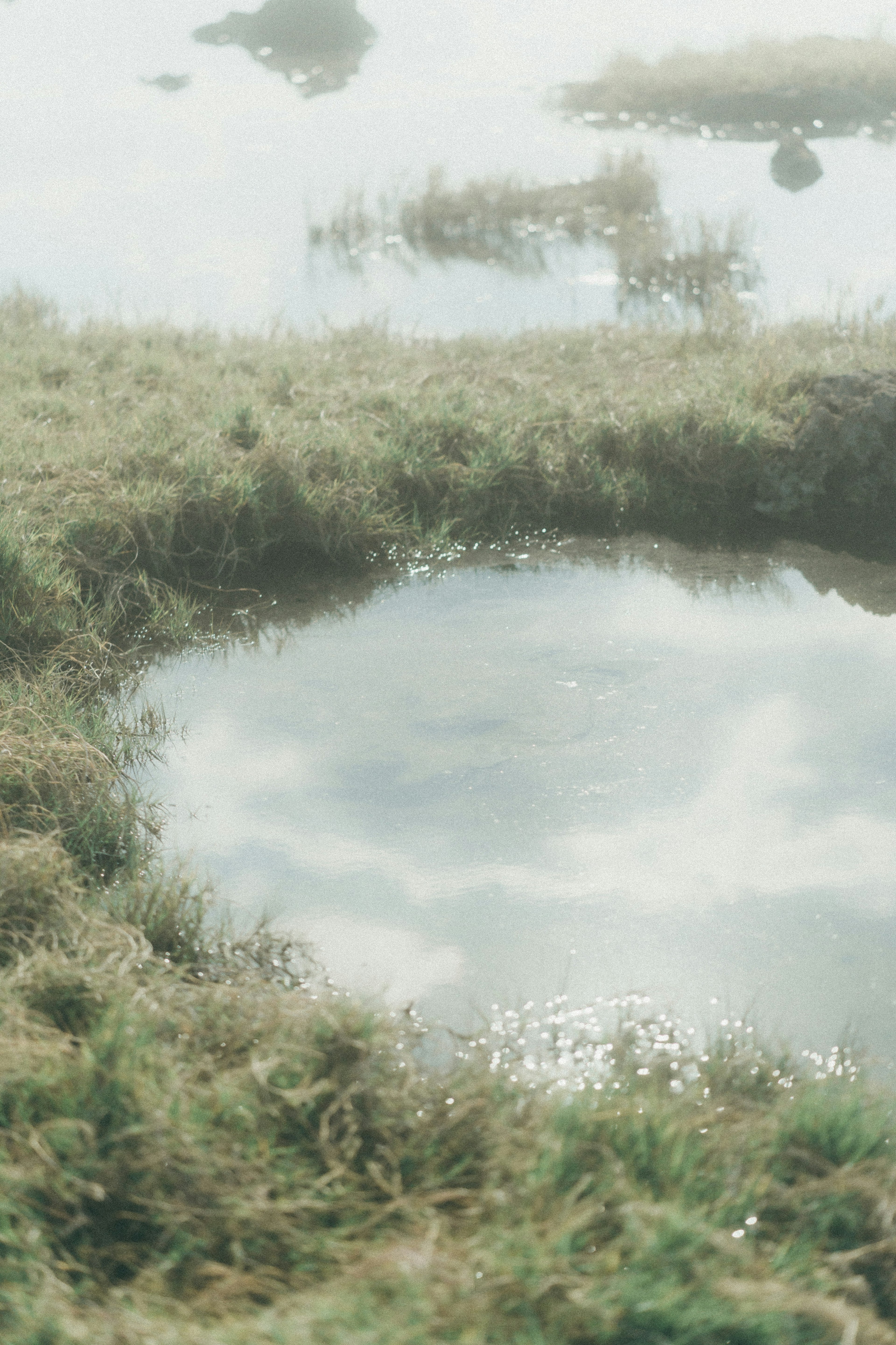 Paesaggio tranquillo con acqua che riflette il cielo e l'erba circostante