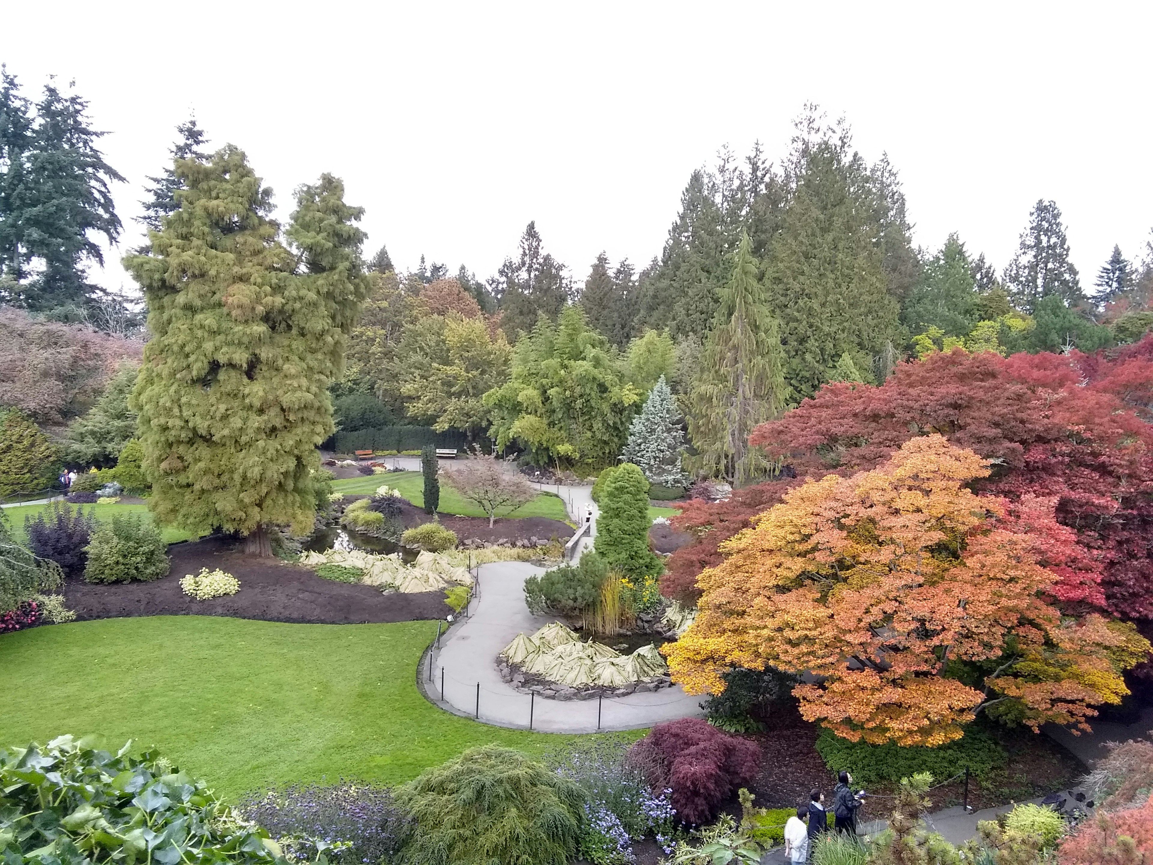 Vista escénica de un hermoso jardín con árboles coloridos y un camino sinuoso