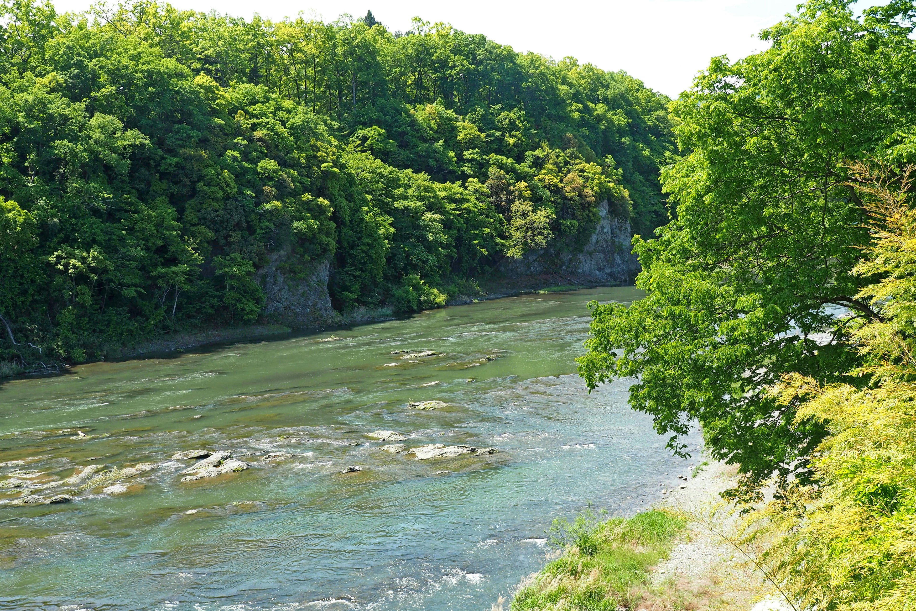 Üppige Flusslandschaft mit grünem Laub und blauem Wasser