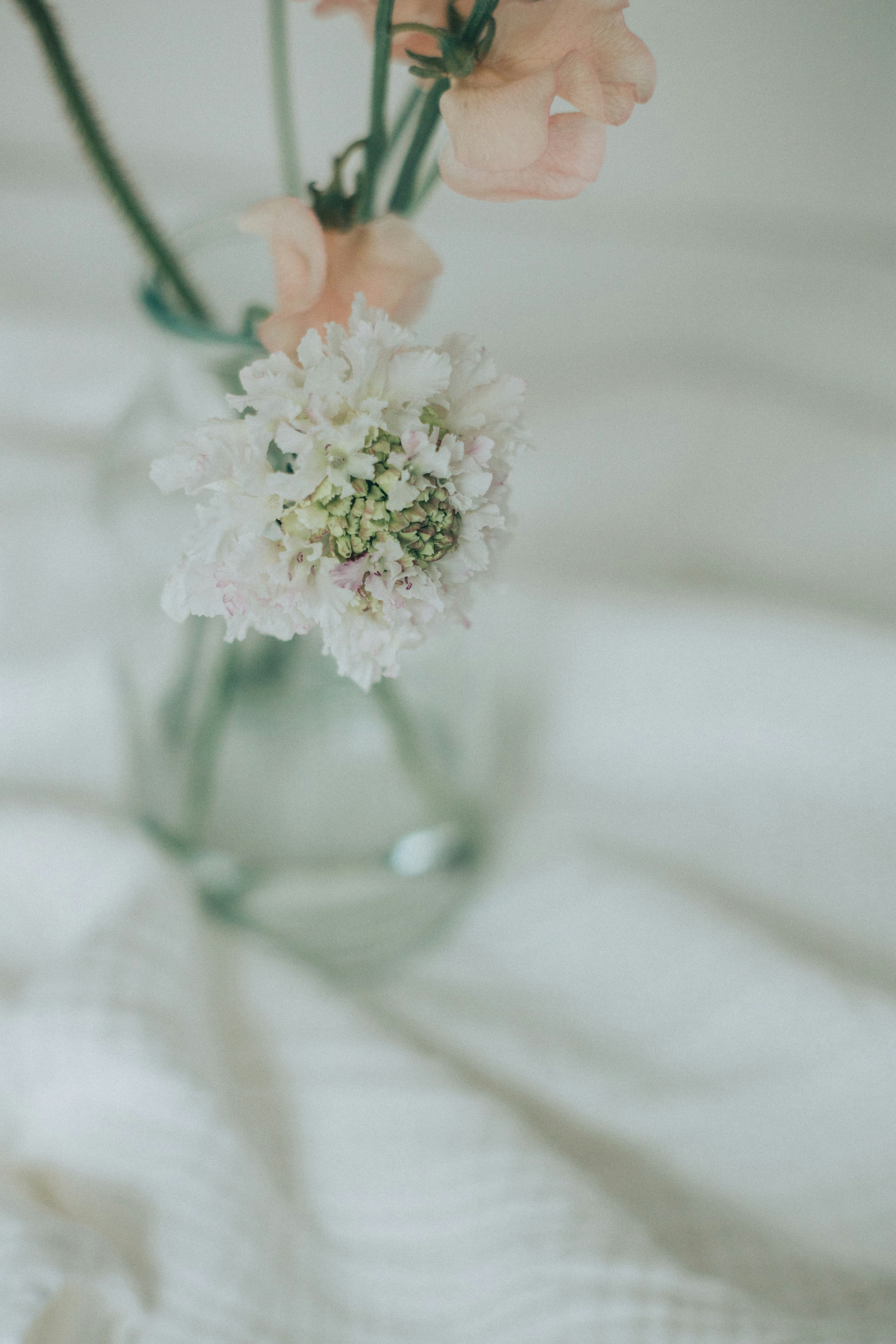 A glass vase with soft-colored flowers on a white fabric surface