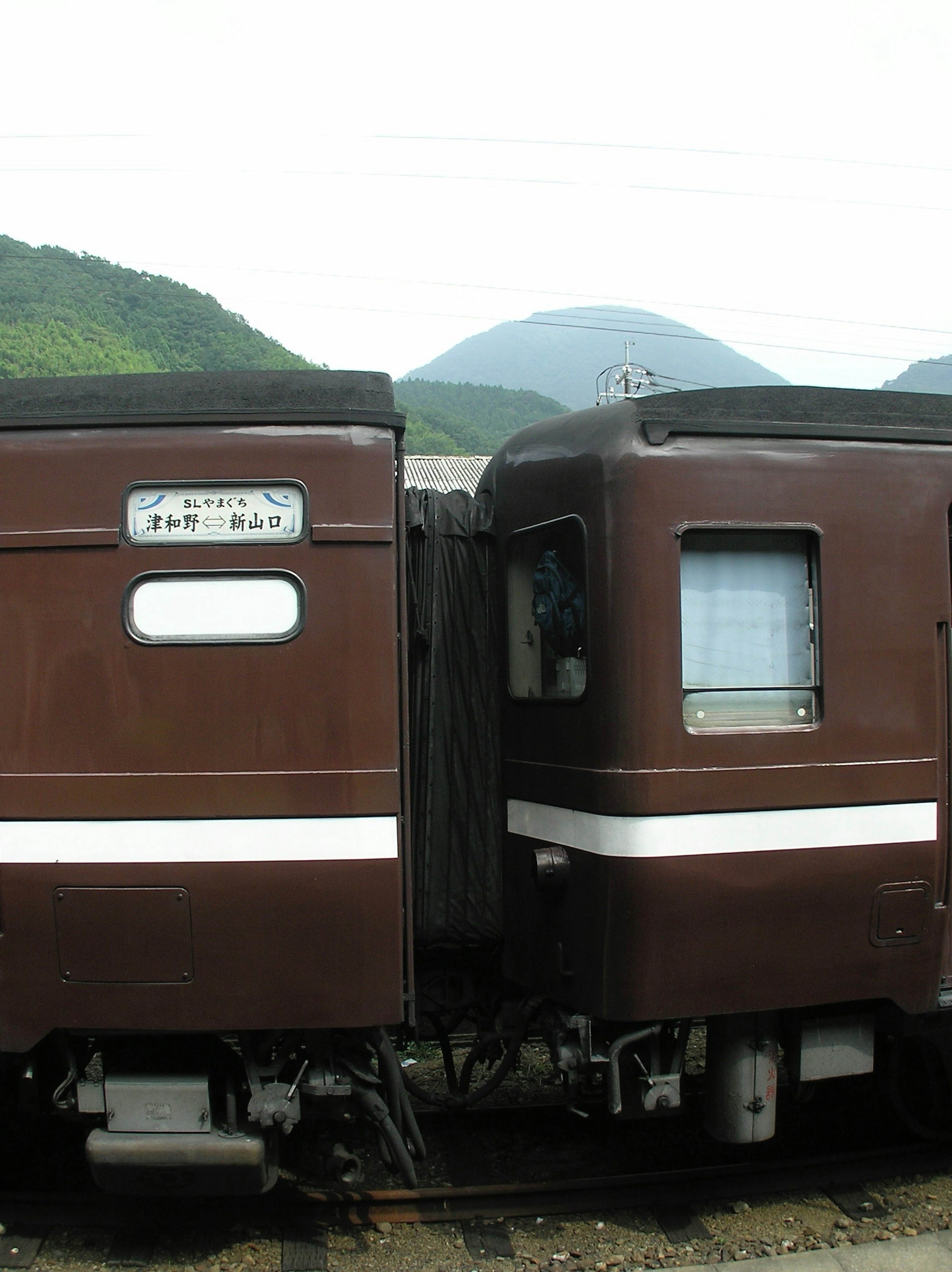 茶色の列車の車両が山の背景に停車している