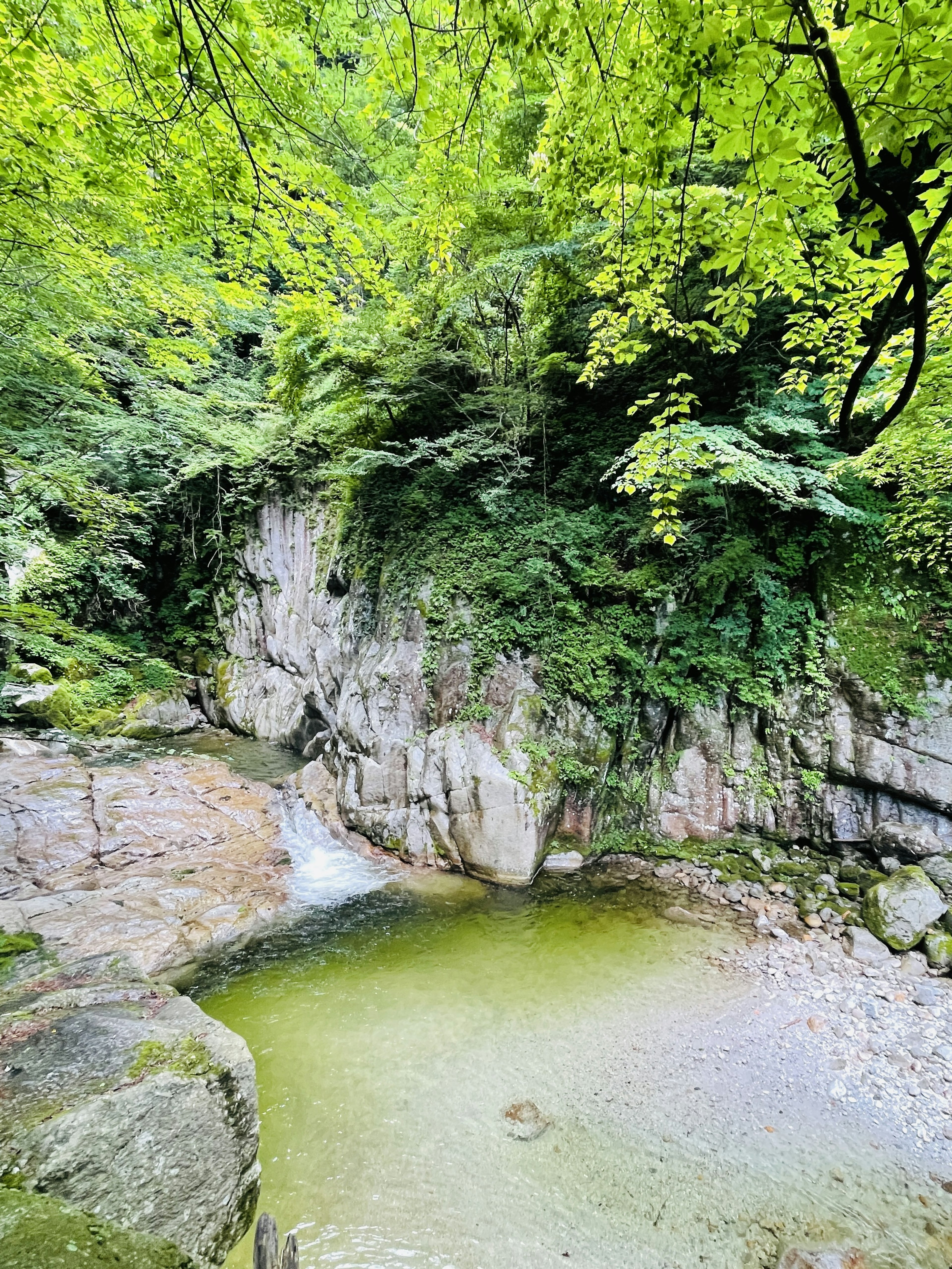 Malersiche Aussicht auf einen kleinen Wasserfall und einen Teich umgeben von üppigen grünen Bäumen