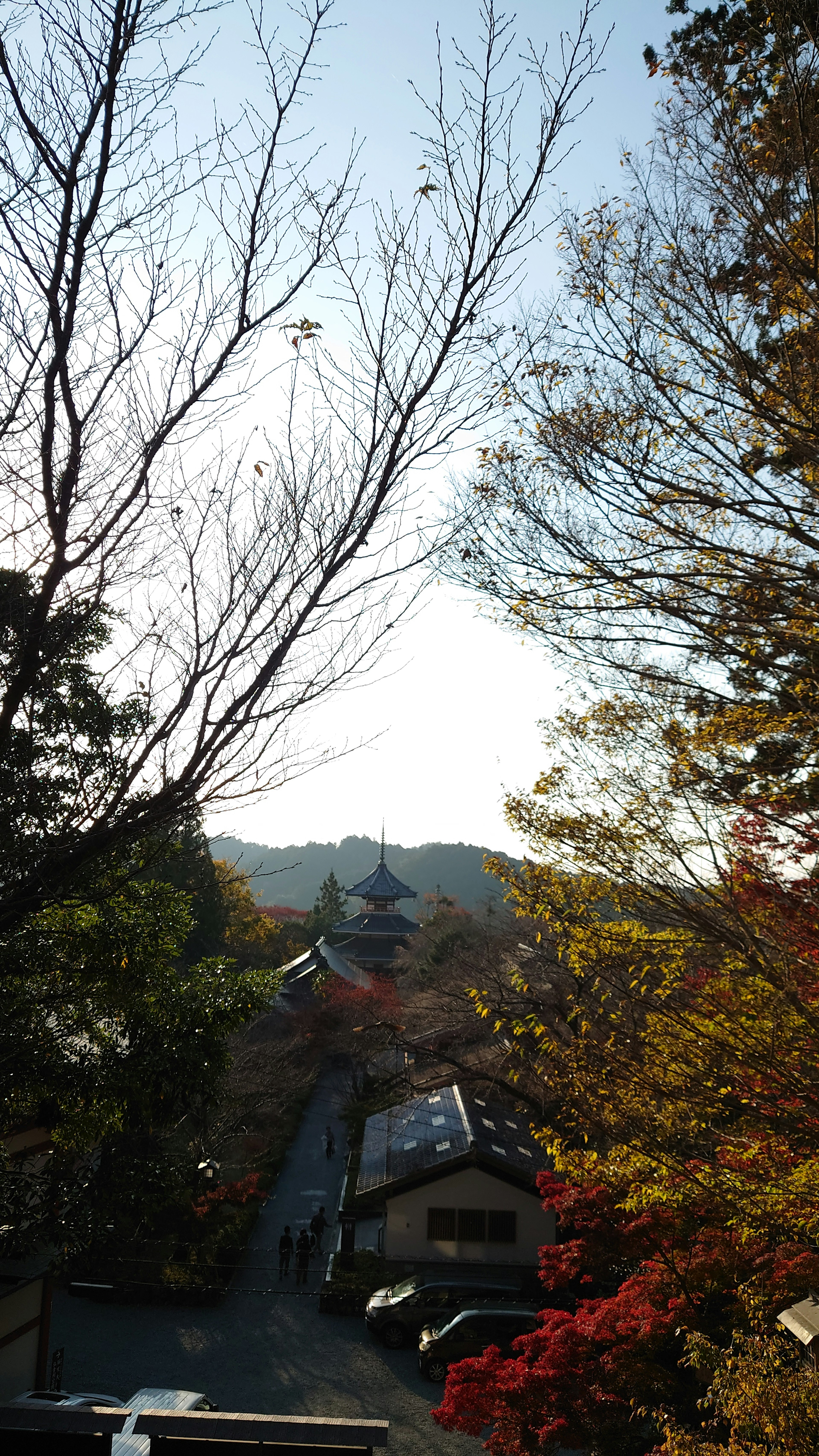 Herbstliche Bäume und Tempelansicht