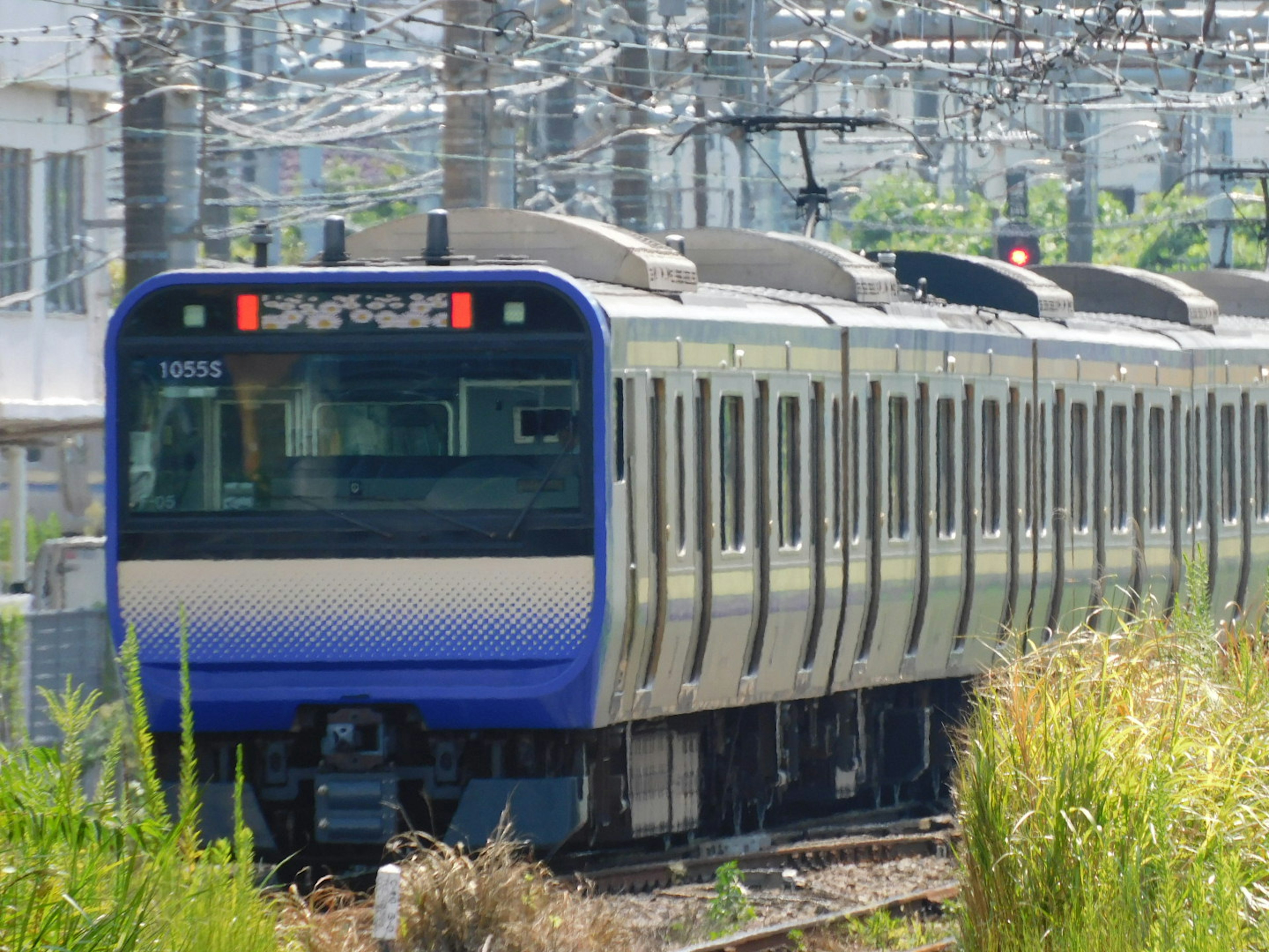 青い電車が線路を走る風景