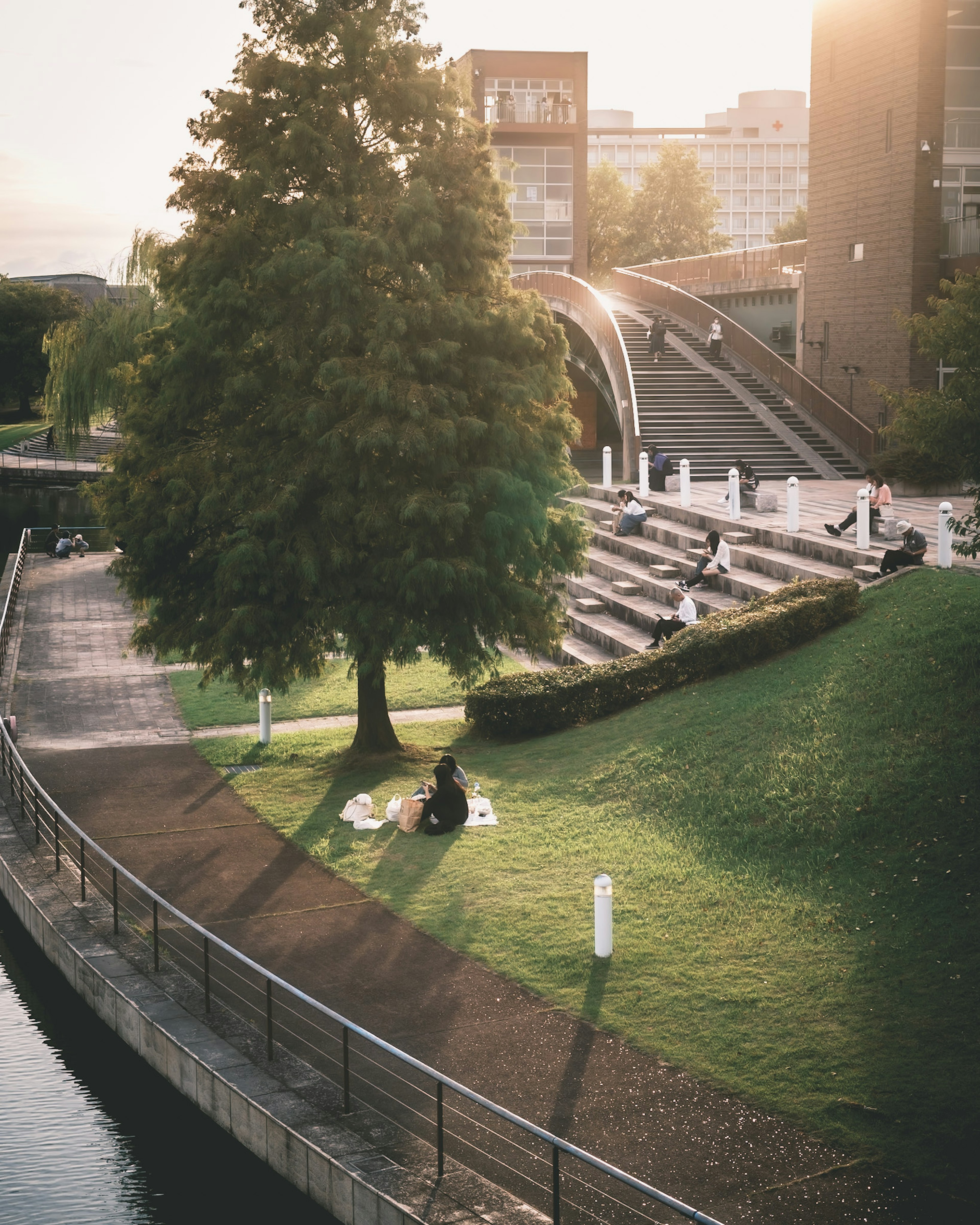 Menschen entspannen sich in einem Park mit einem großen Baum und moderner Architektur