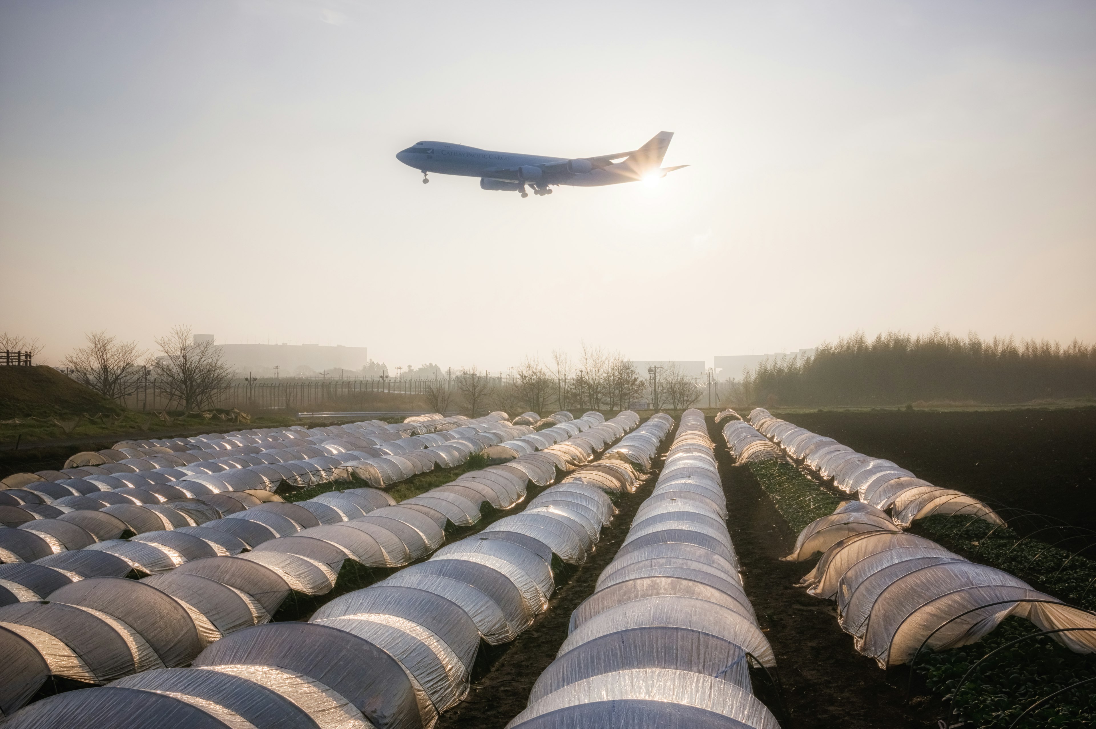 Avión volando sobre un campo con sacos de cultivos ordenados