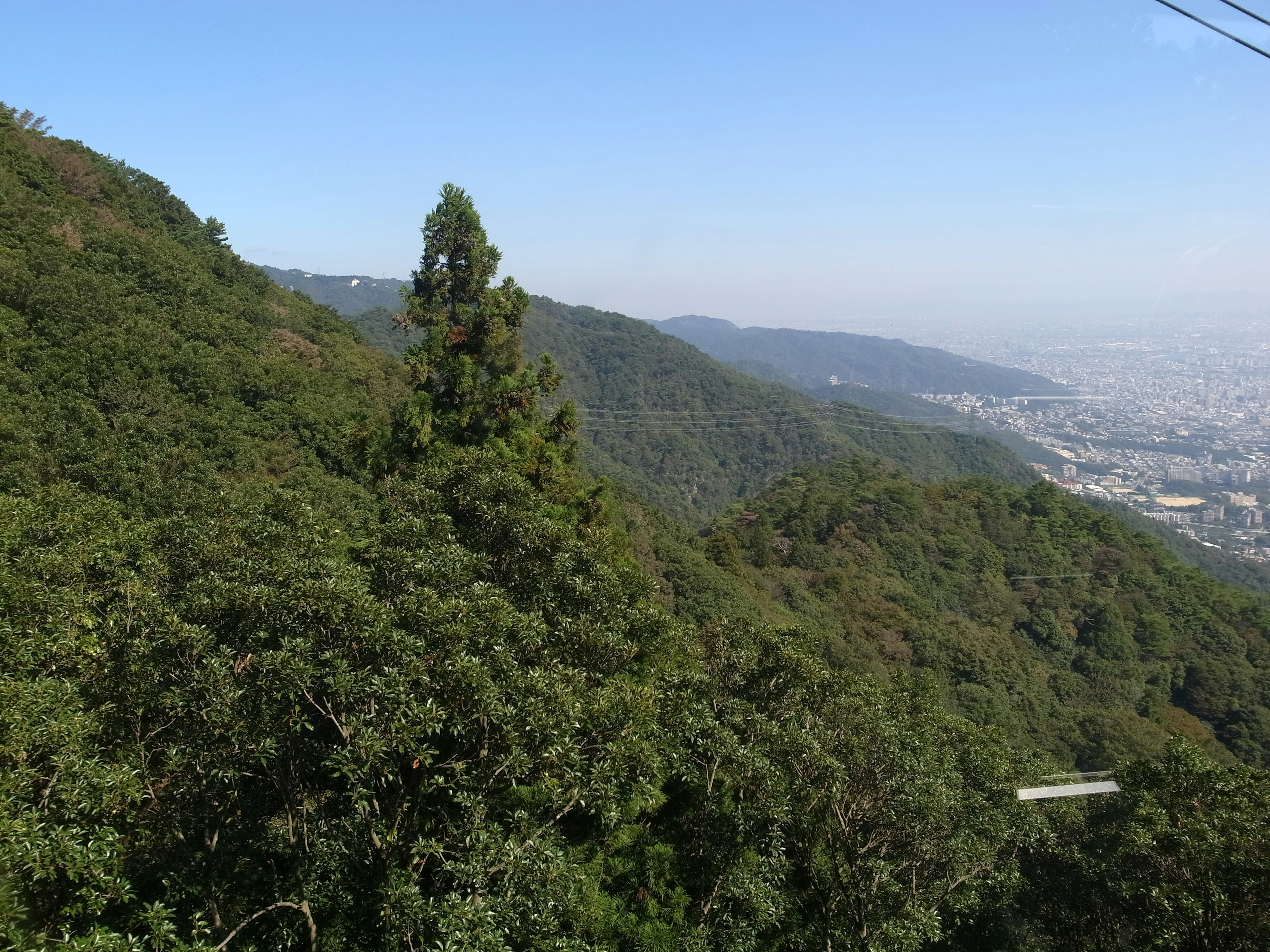 緑豊かな山の風景と遠くの都市の景色