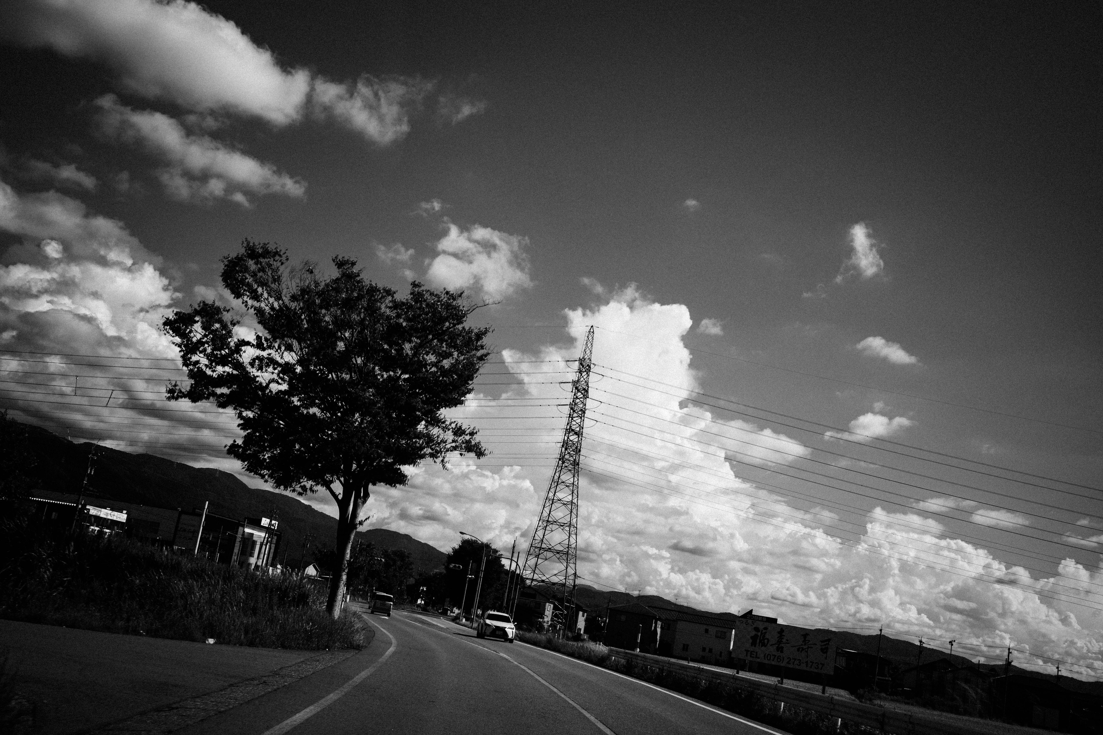 道路に沿った一本の木と高い電波塔が見える風景