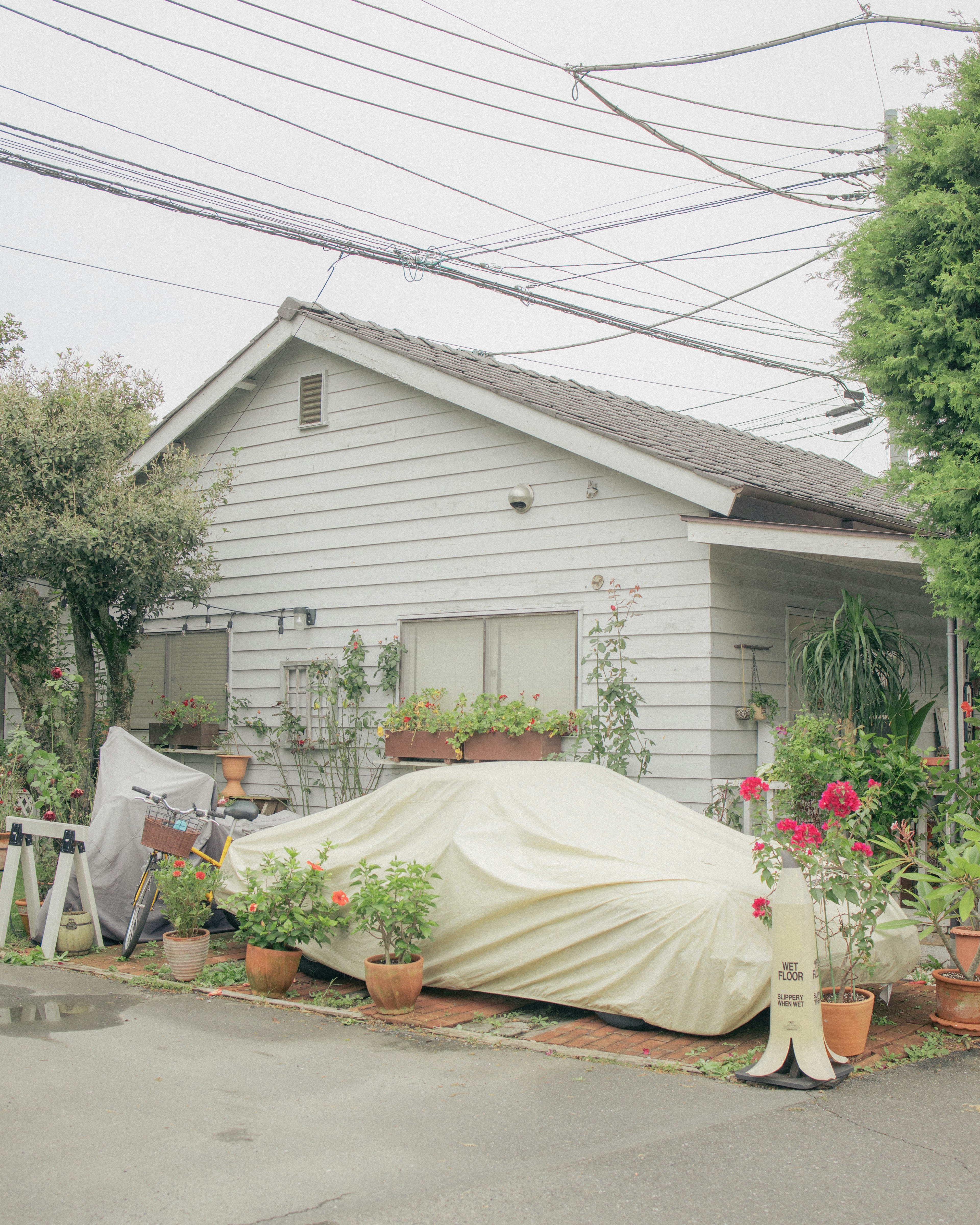 白い家と植物に囲まれたカバーをかけた車