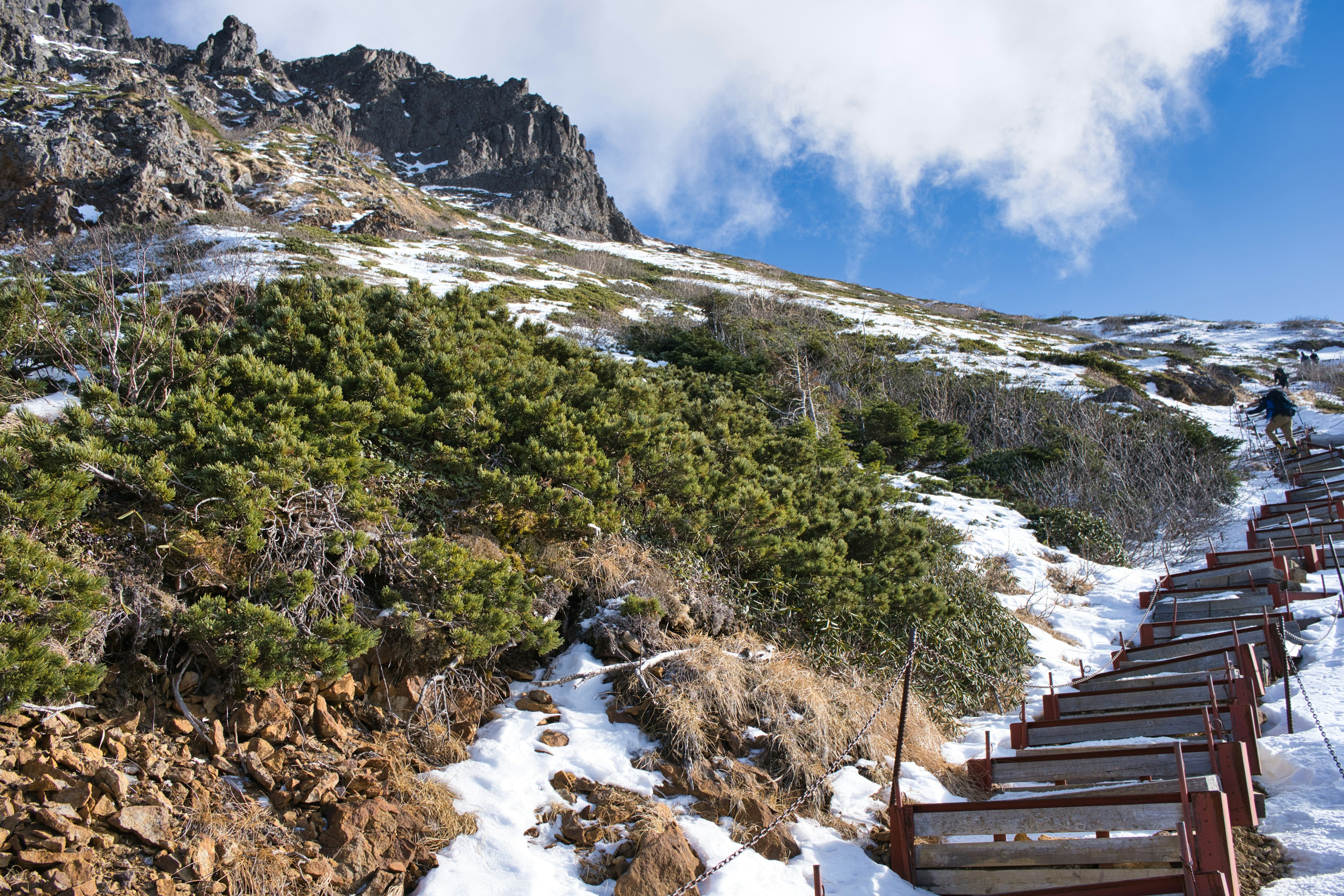 有雪和绿色植被的山路