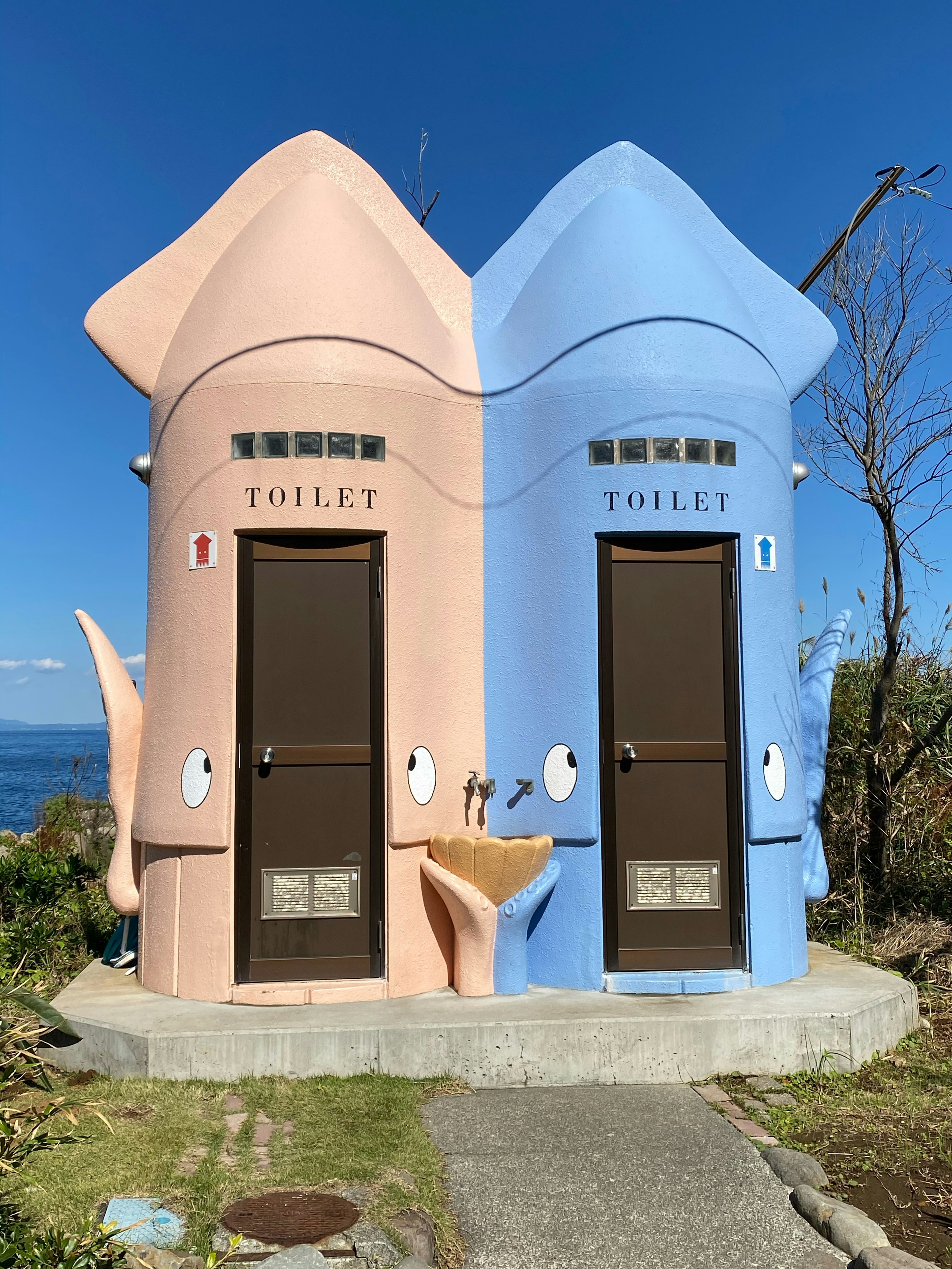 Unique pink and blue restroom buildings side by side in a coastal setting