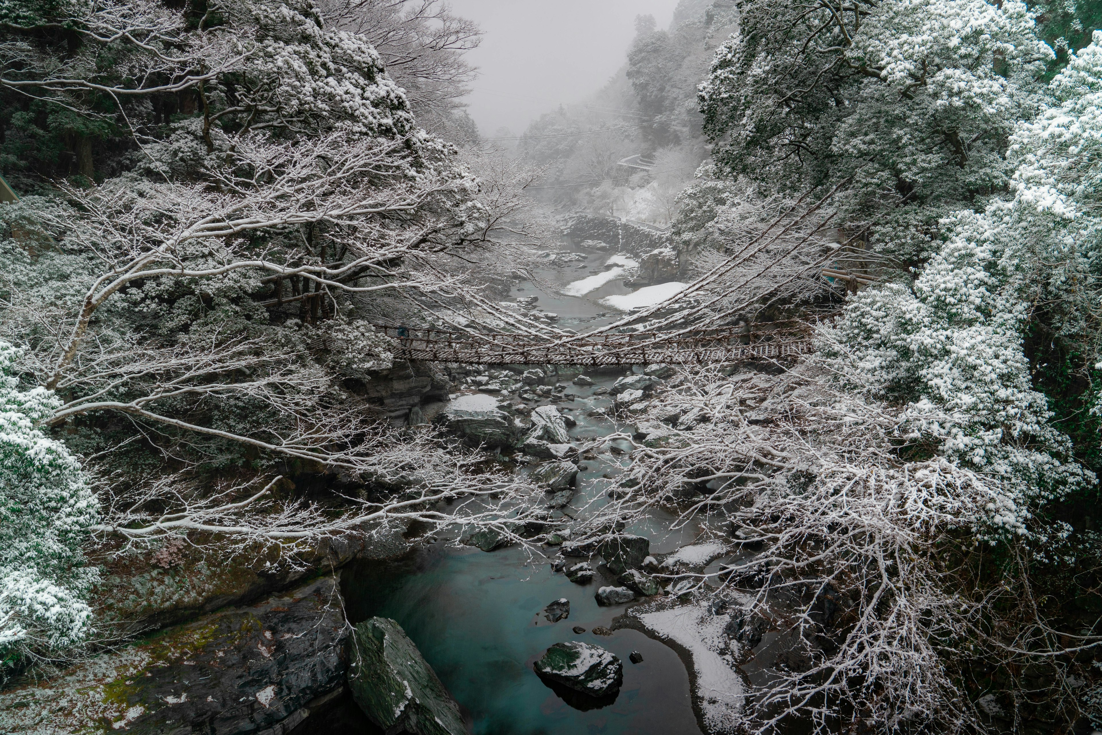 Snow-covered river and trees landscape