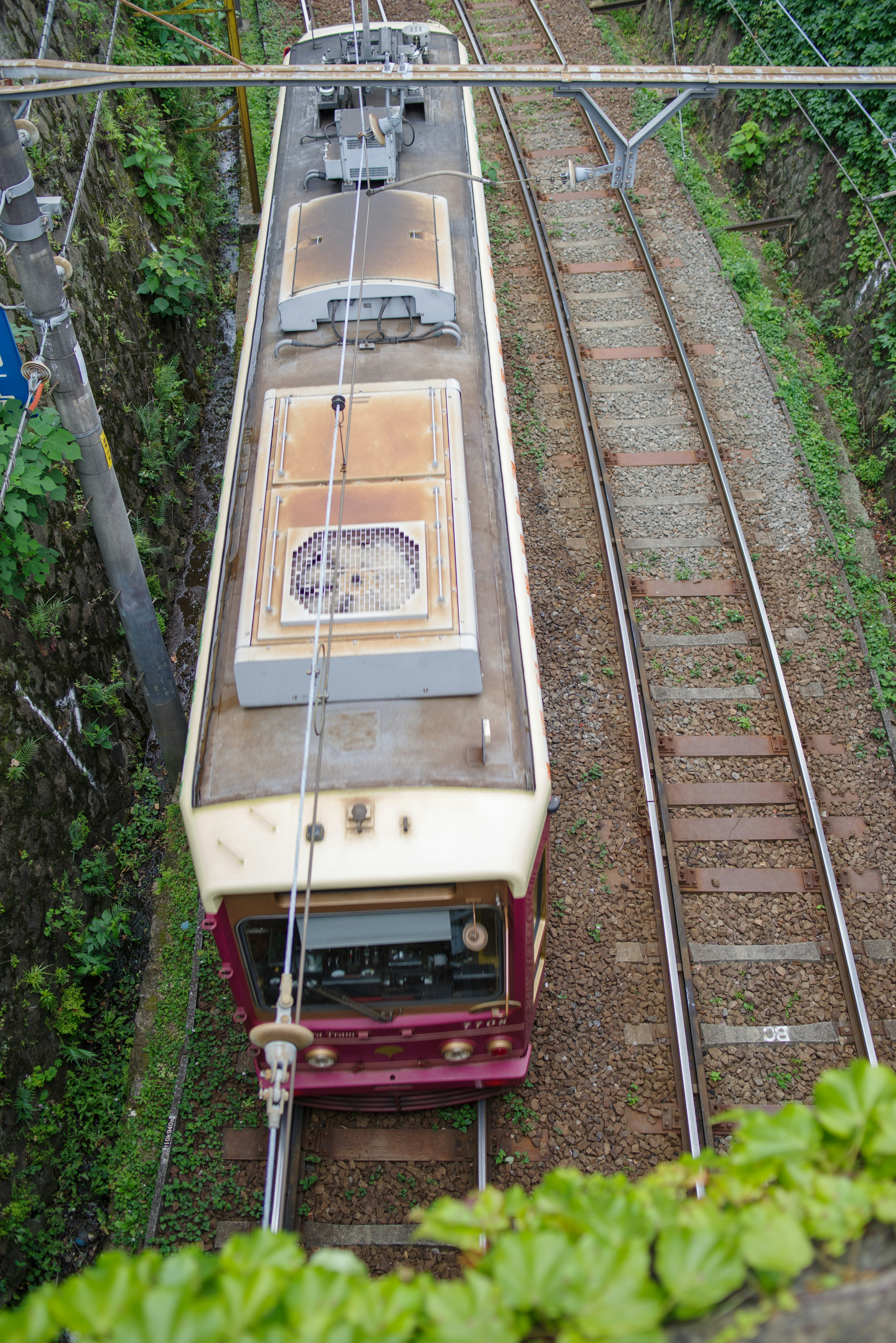 รถไฟมองจากข้างบนบนรางที่มีพืชพรรณล้อมรอบ