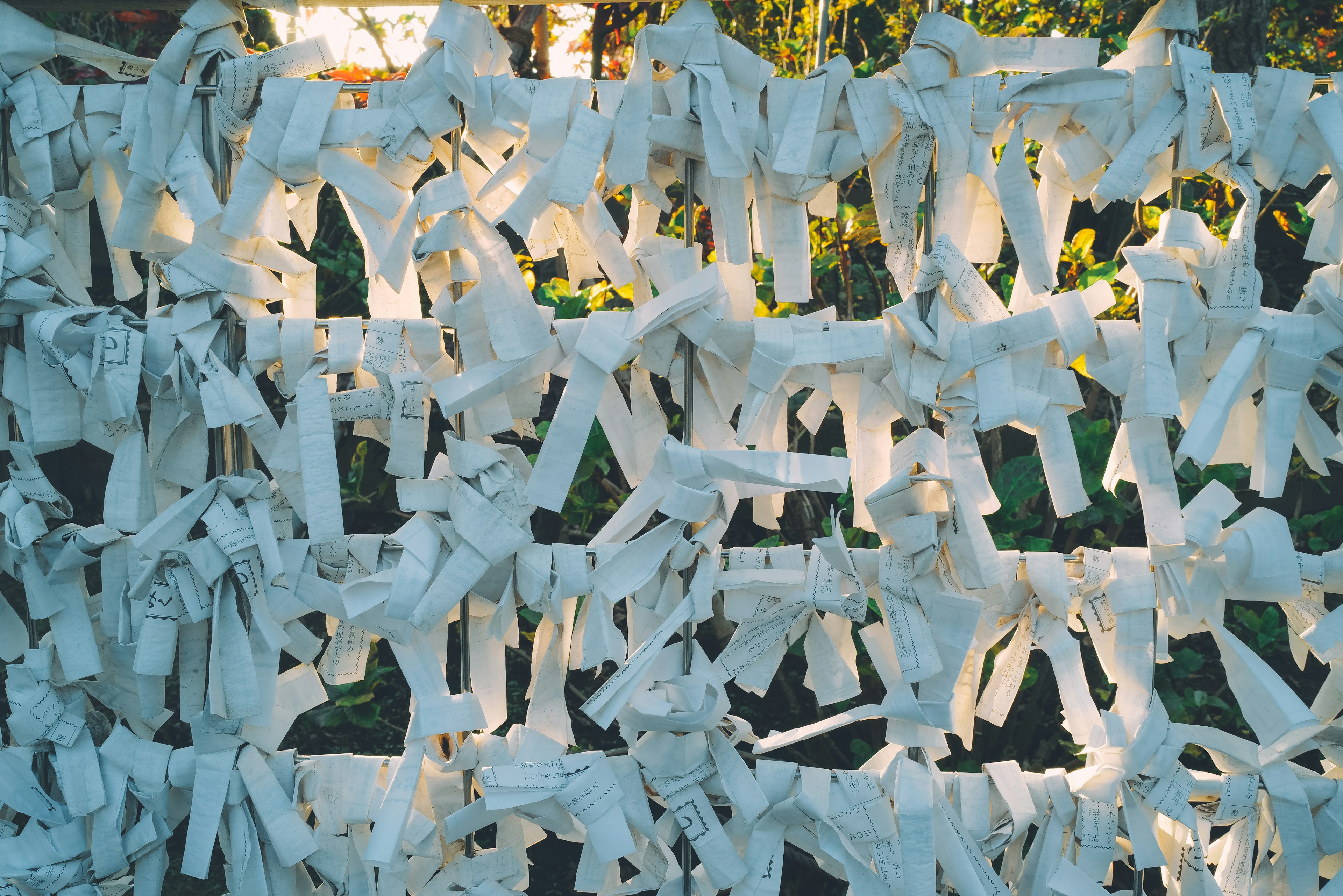 Gros plan d'un mur décoré de rubans blancs noués