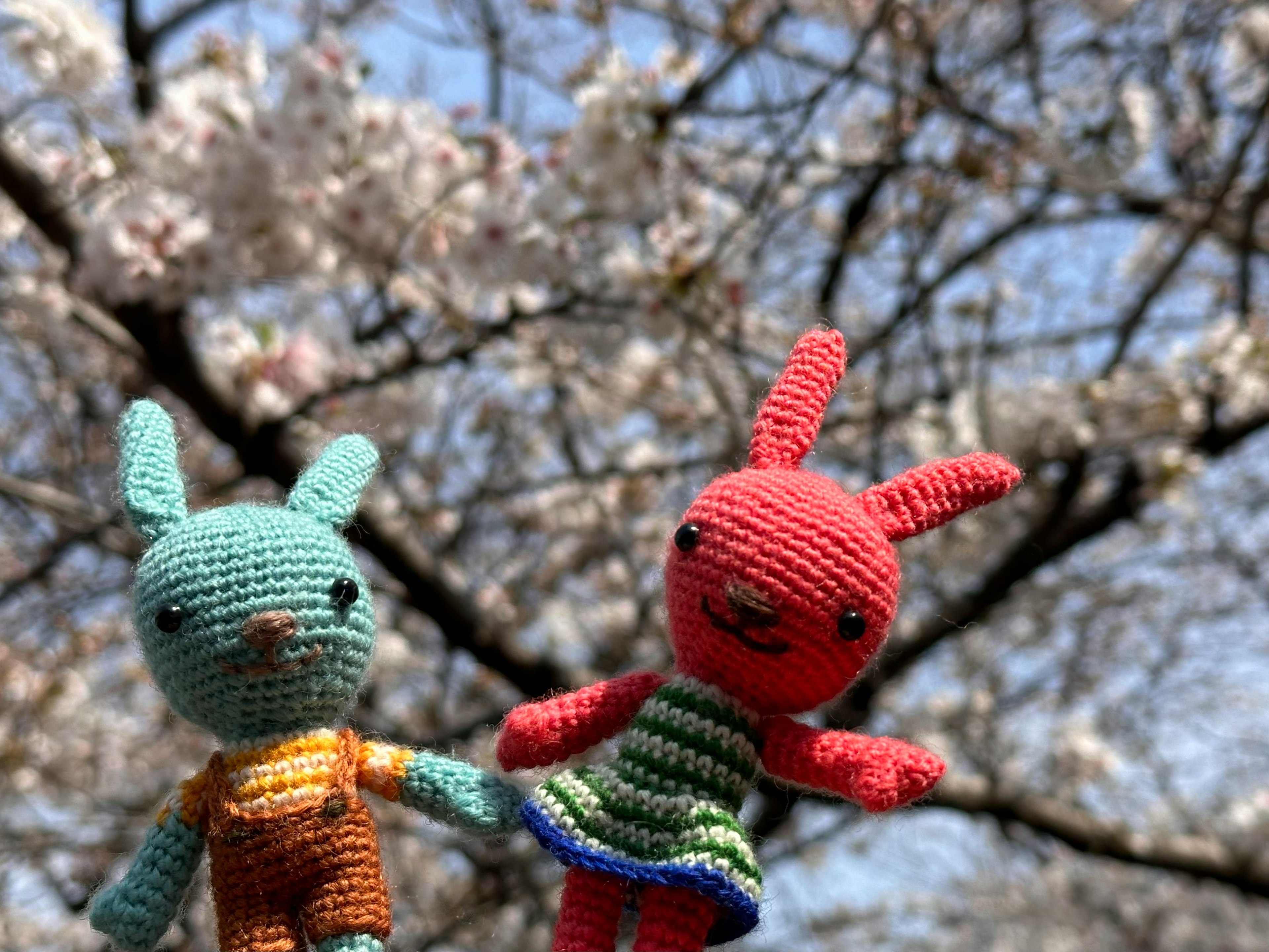 Dua boneka kelinci rajut bermain di bawah bunga sakura