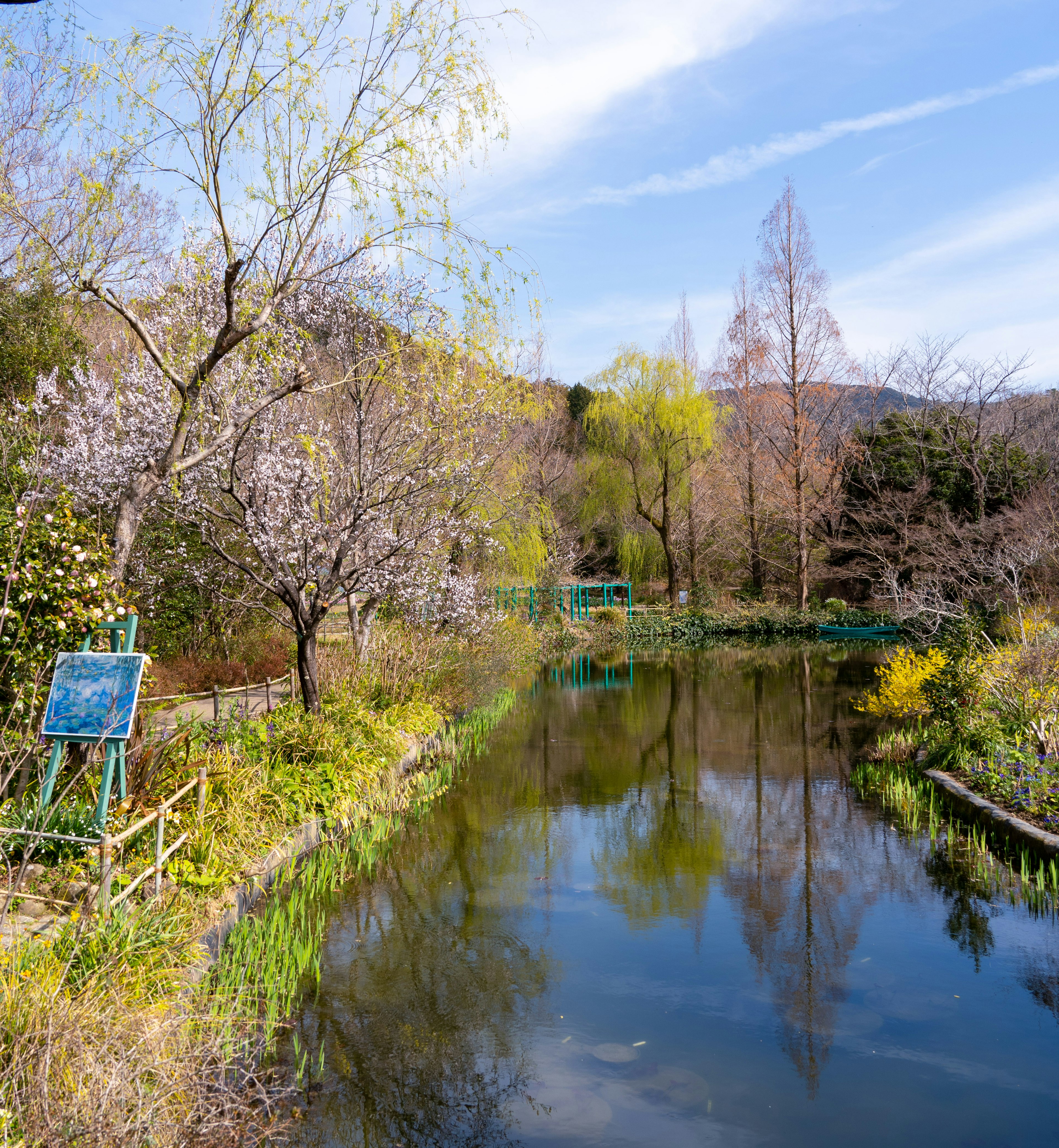 静かな池と春の花々が広がる風景